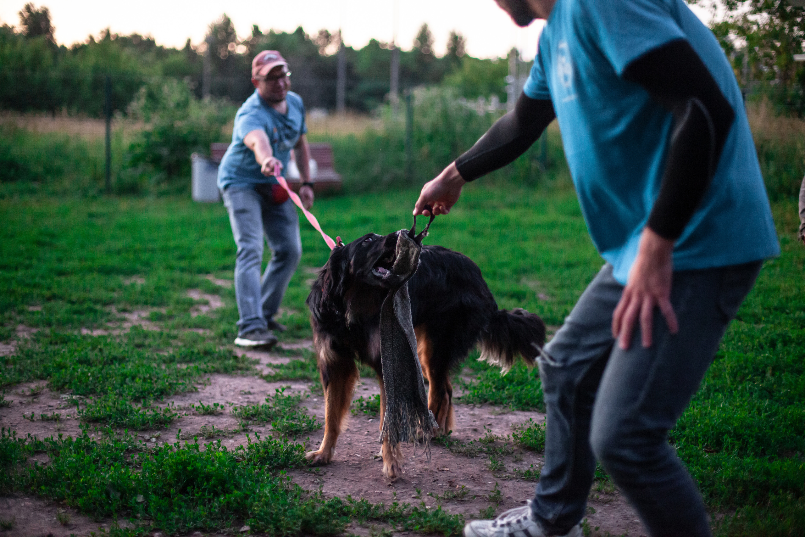 Занятие ЗКС+Выборка 2022. Фотограф-анималист Татьяна Степанова
