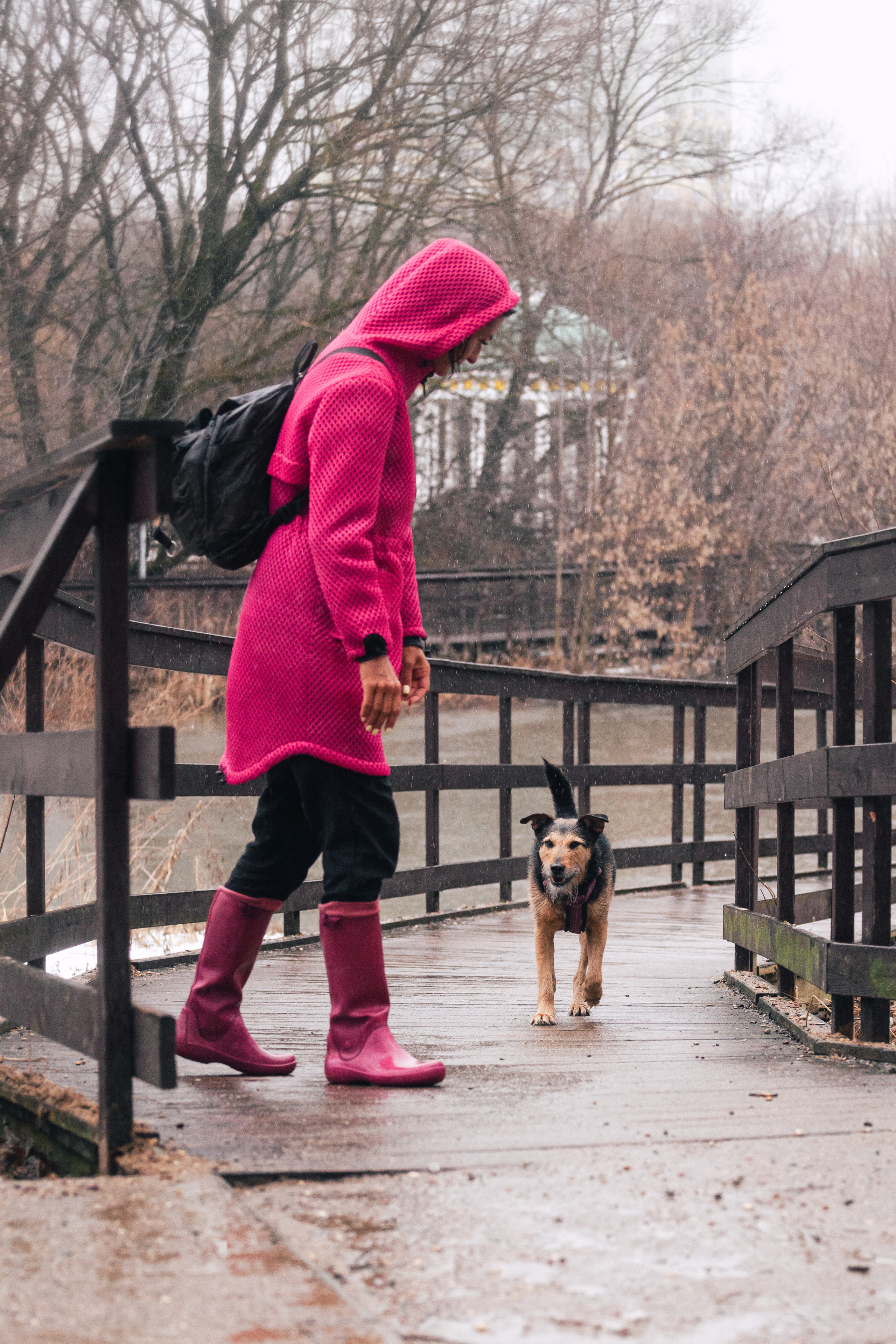 Лиза и Бренда. Фотограф-анималист Татьяна Степанова