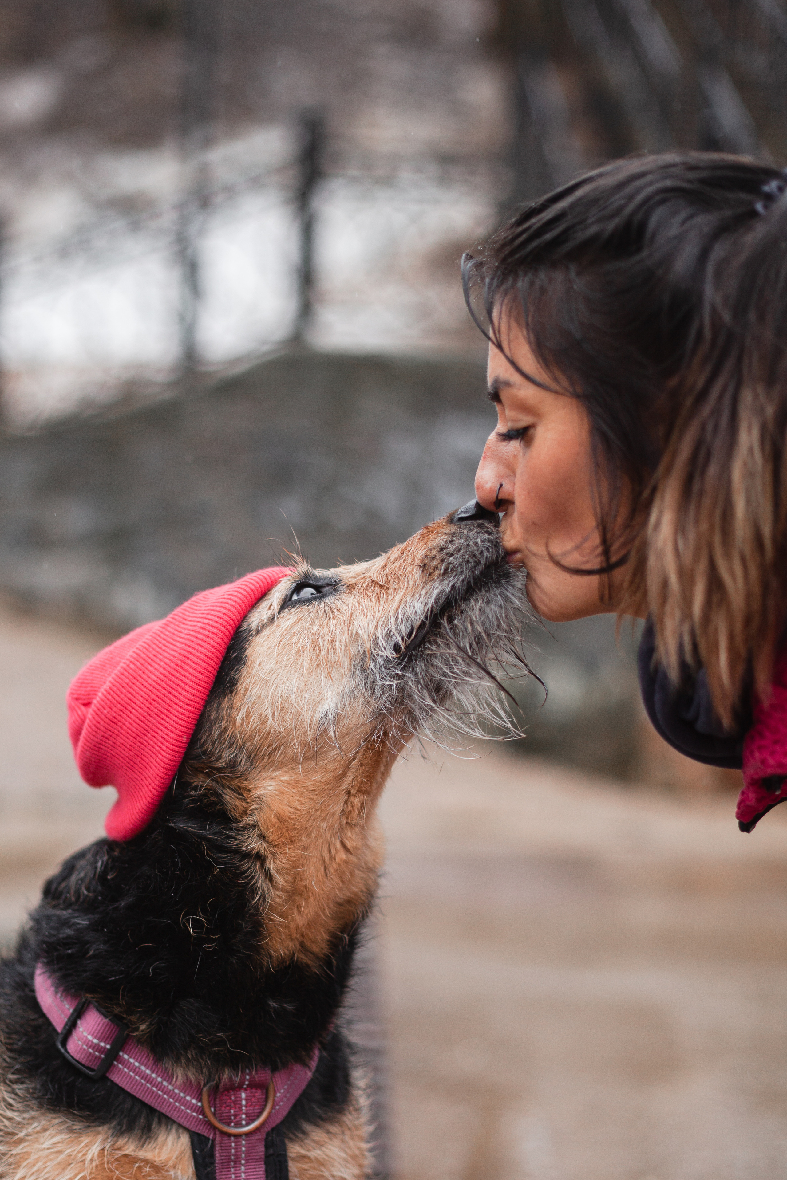 Лиза и Бренда. Фотограф-анималист Татьяна Степанова