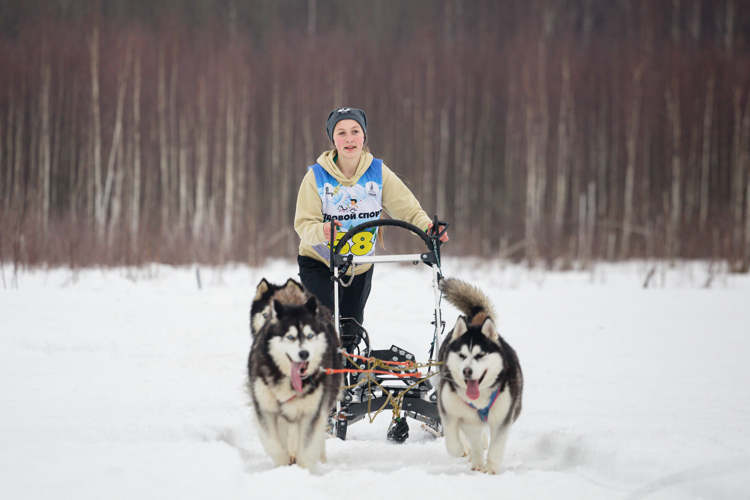 Холодные игры 28 февраля 2022. Фотограф-анималист Татьяна Степанова