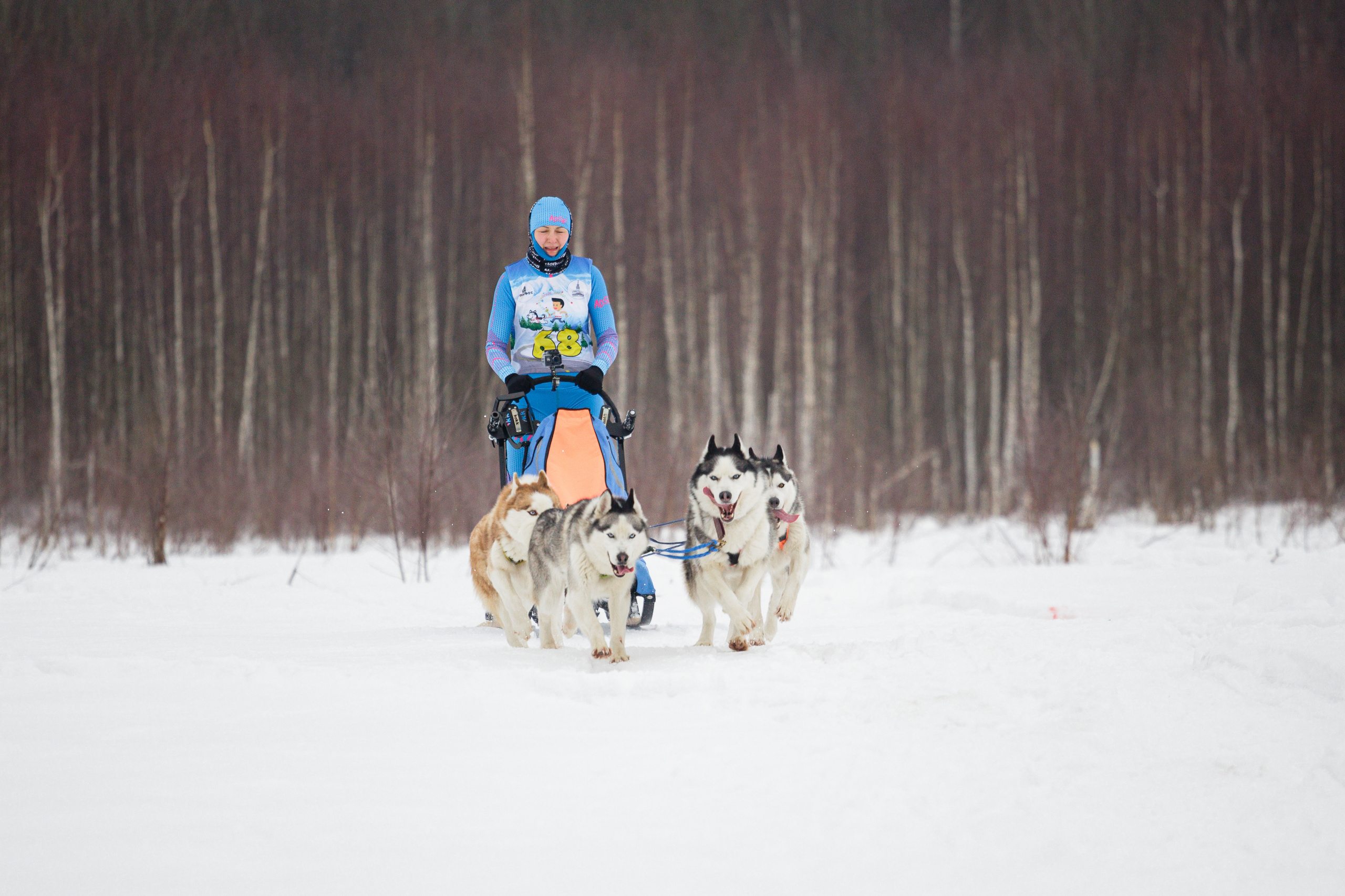 Холодные игры 28 февраля 2022. Фотограф-анималист Татьяна Степанова
