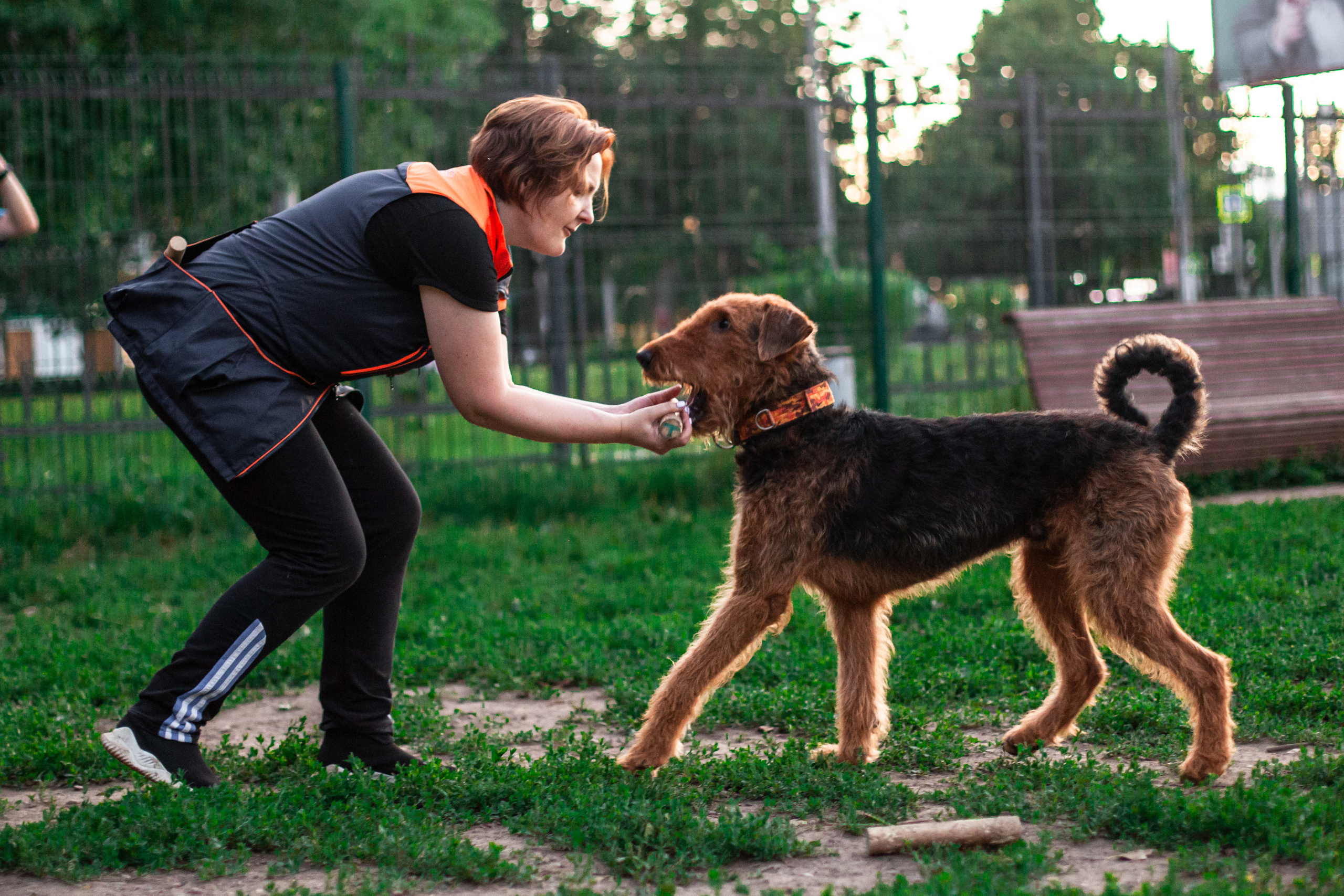 Занятие ЗКС+Выборка 2022. Фотограф-анималист Татьяна Степанова