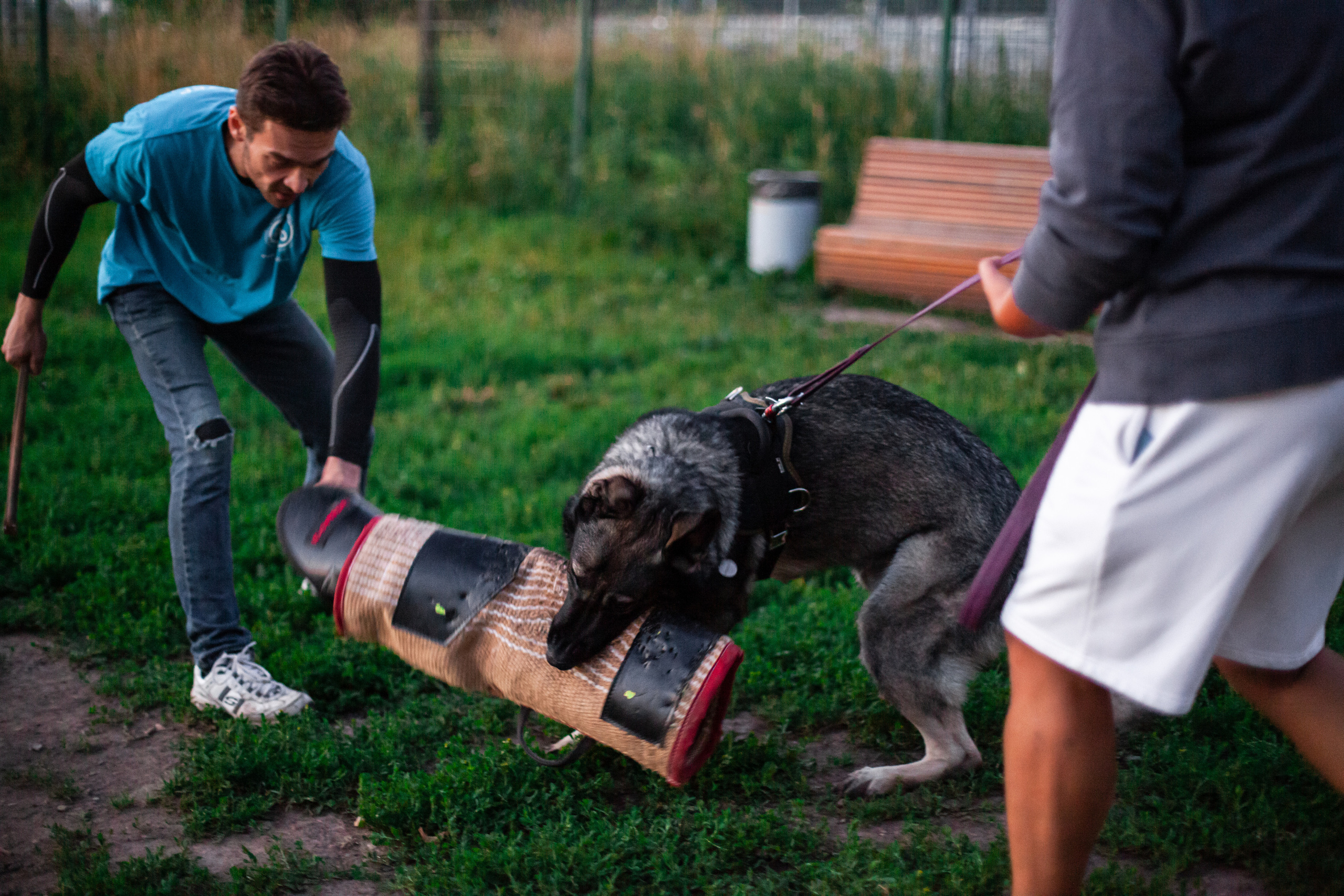 Занятие ЗКС+Выборка 2022. Фотограф-анималист Татьяна Степанова
