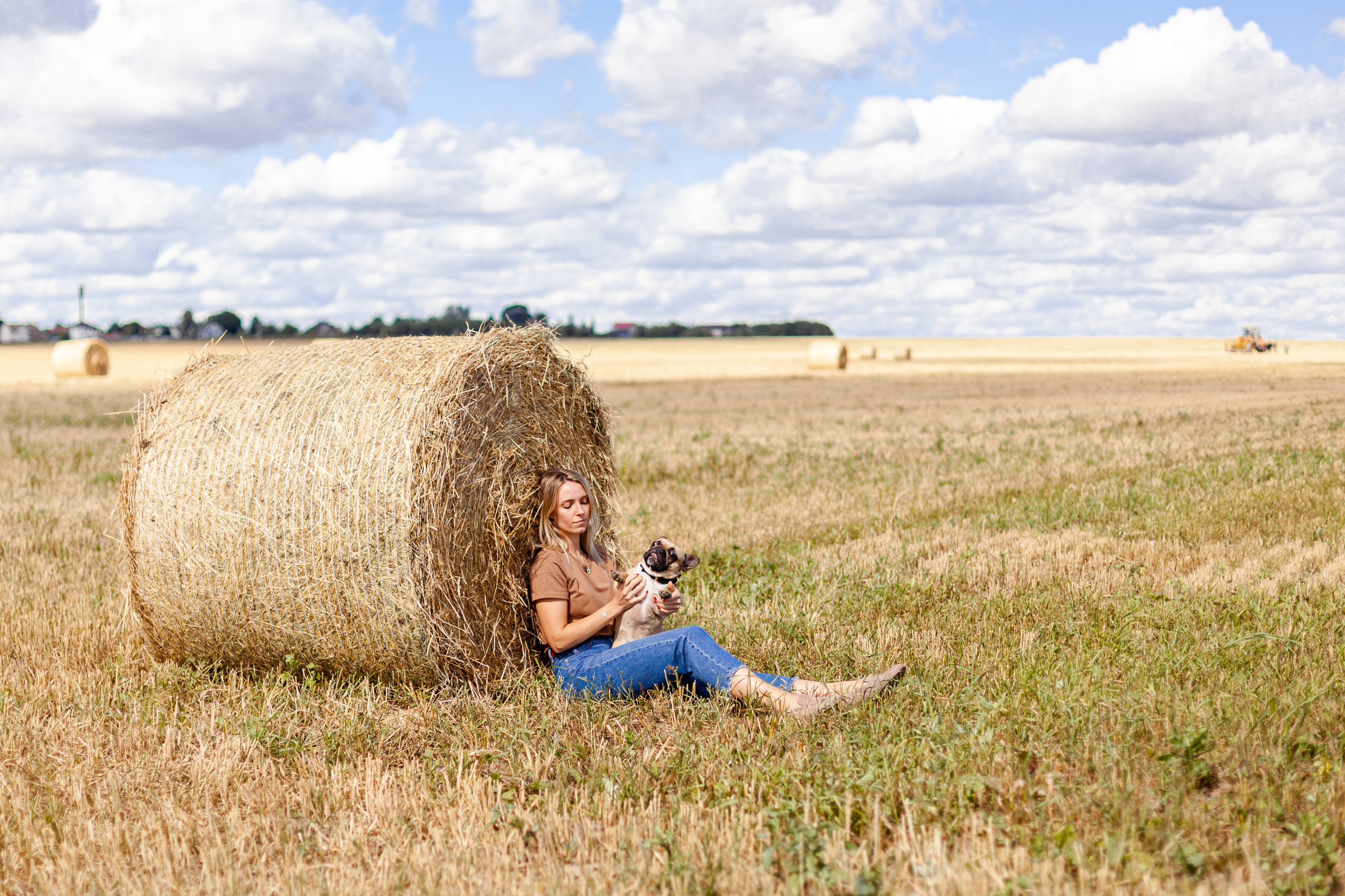 Коломна, стога и подсолнухи. Фотограф-анималист Татьяна Степанова