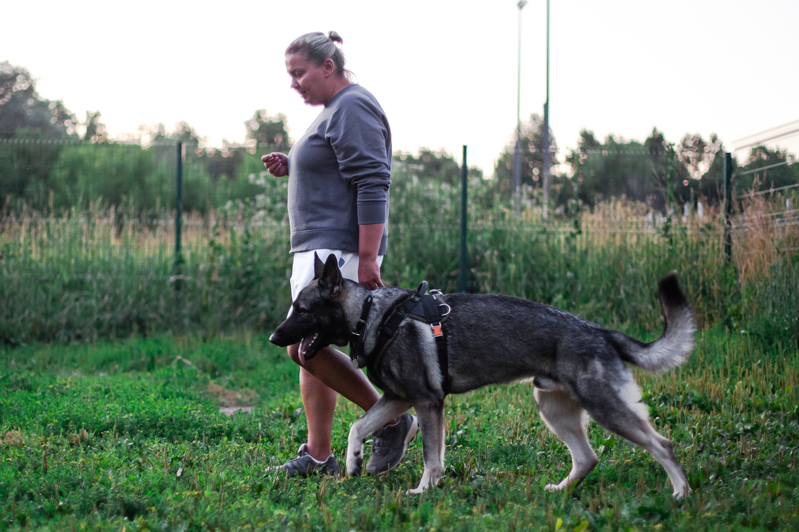 Занятие ЗКС+Выборка 2022. Фотограф-анималист Татьяна Степанова