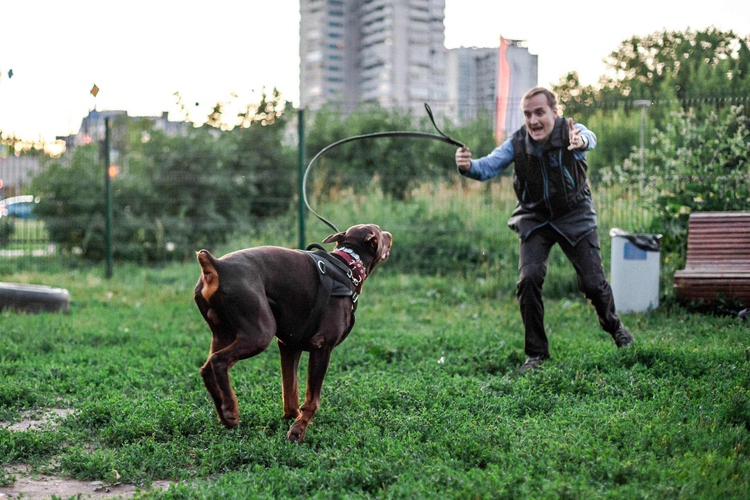 Занятие ЗКС+Выборка 2022. Фотограф-анималист Татьяна Степанова