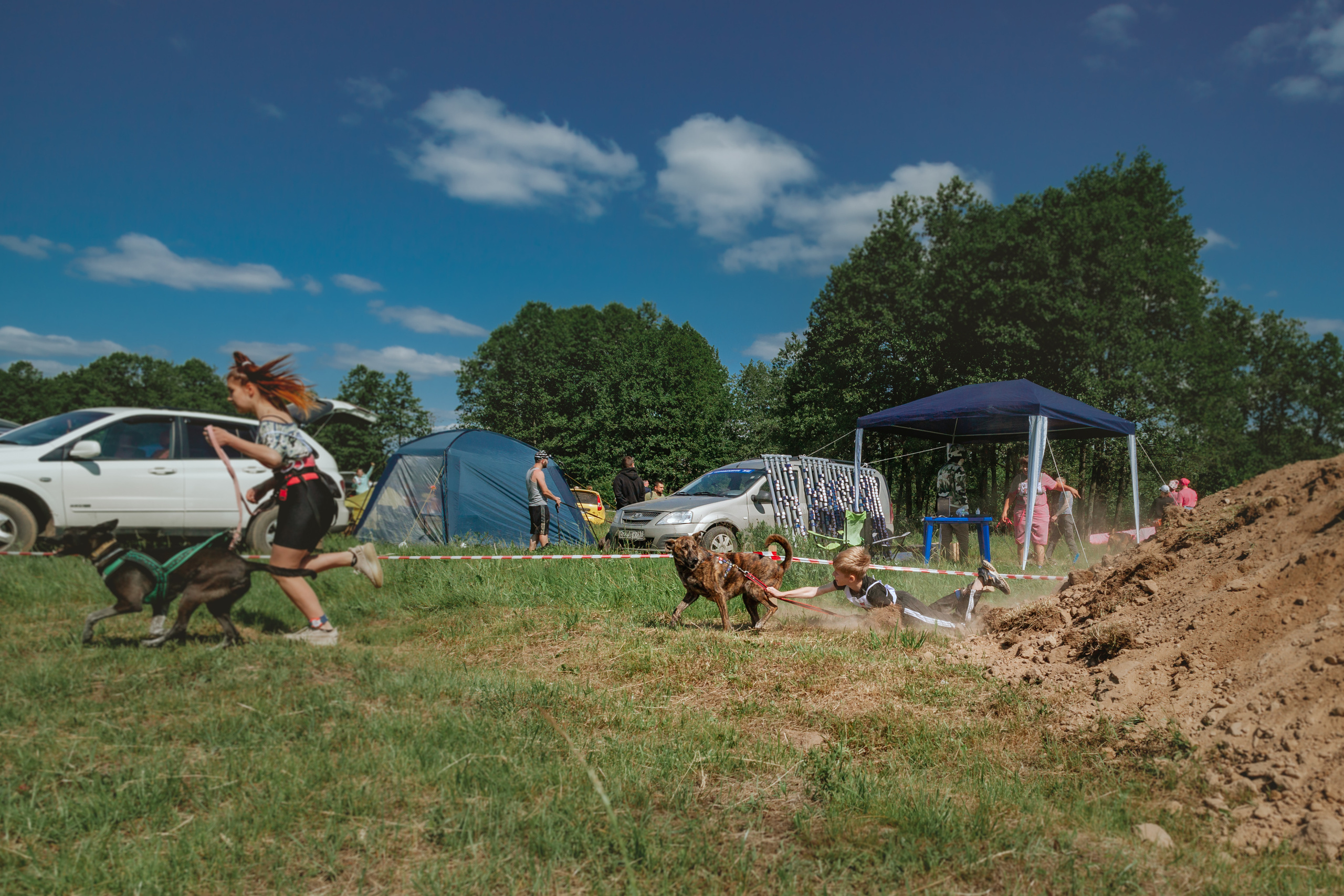 Хвостатый Драйв 11.06.2023. Фотограф-анималист Татьяна Степанова