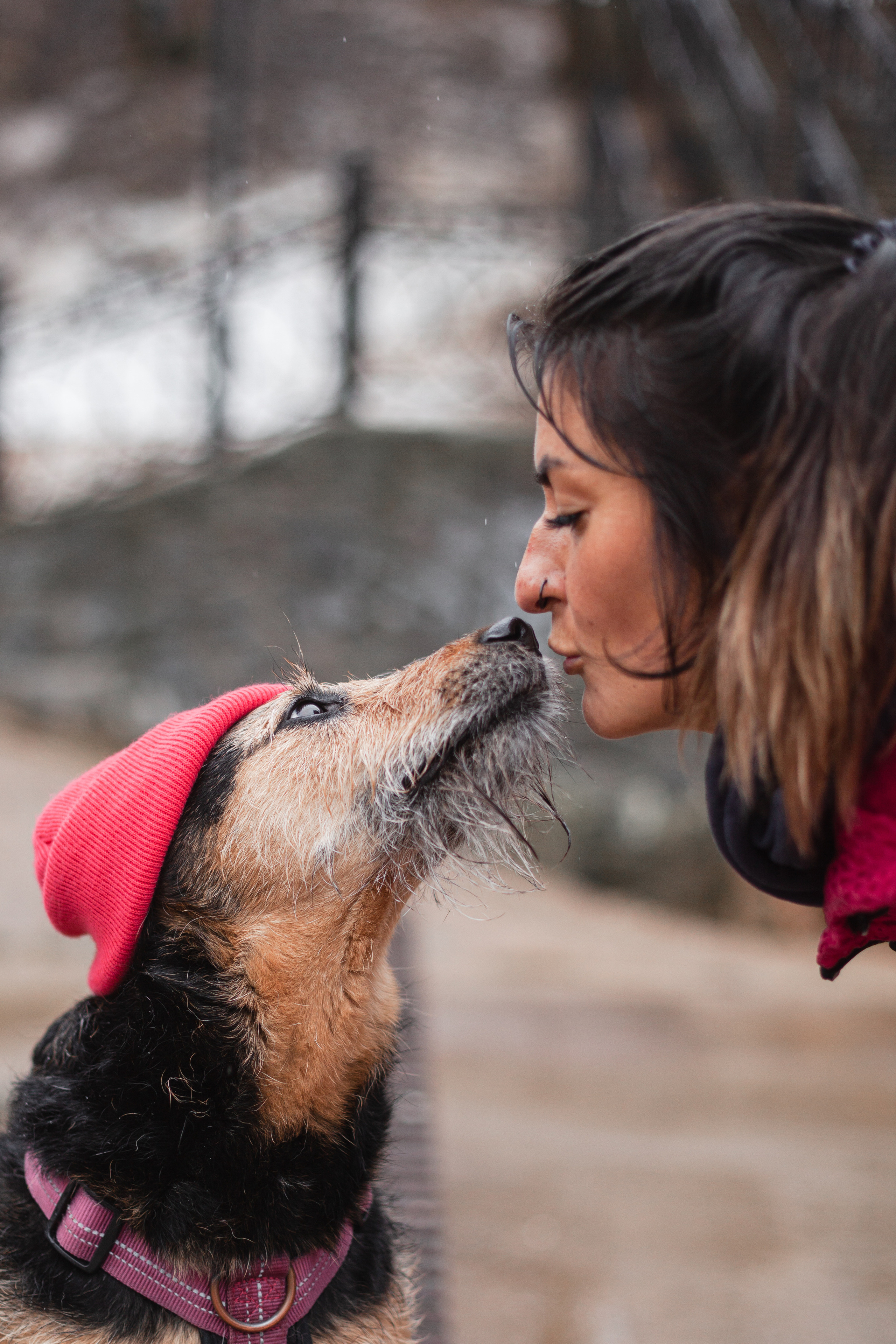 Лиза и Бренда. Фотограф-анималист Татьяна Степанова