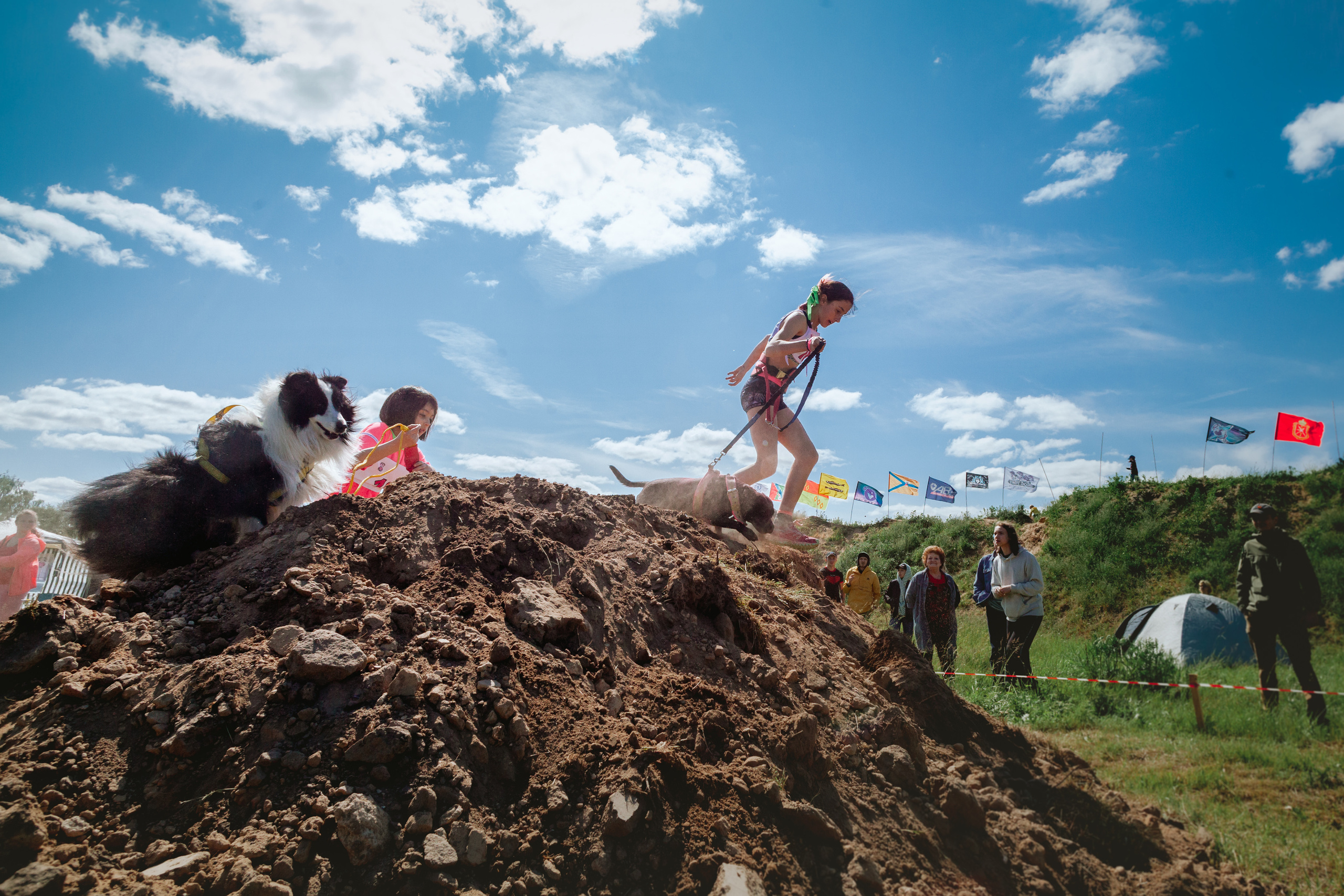 Хвостатый Драйв 11.06.2023. Фотограф-анималист Татьяна Степанова