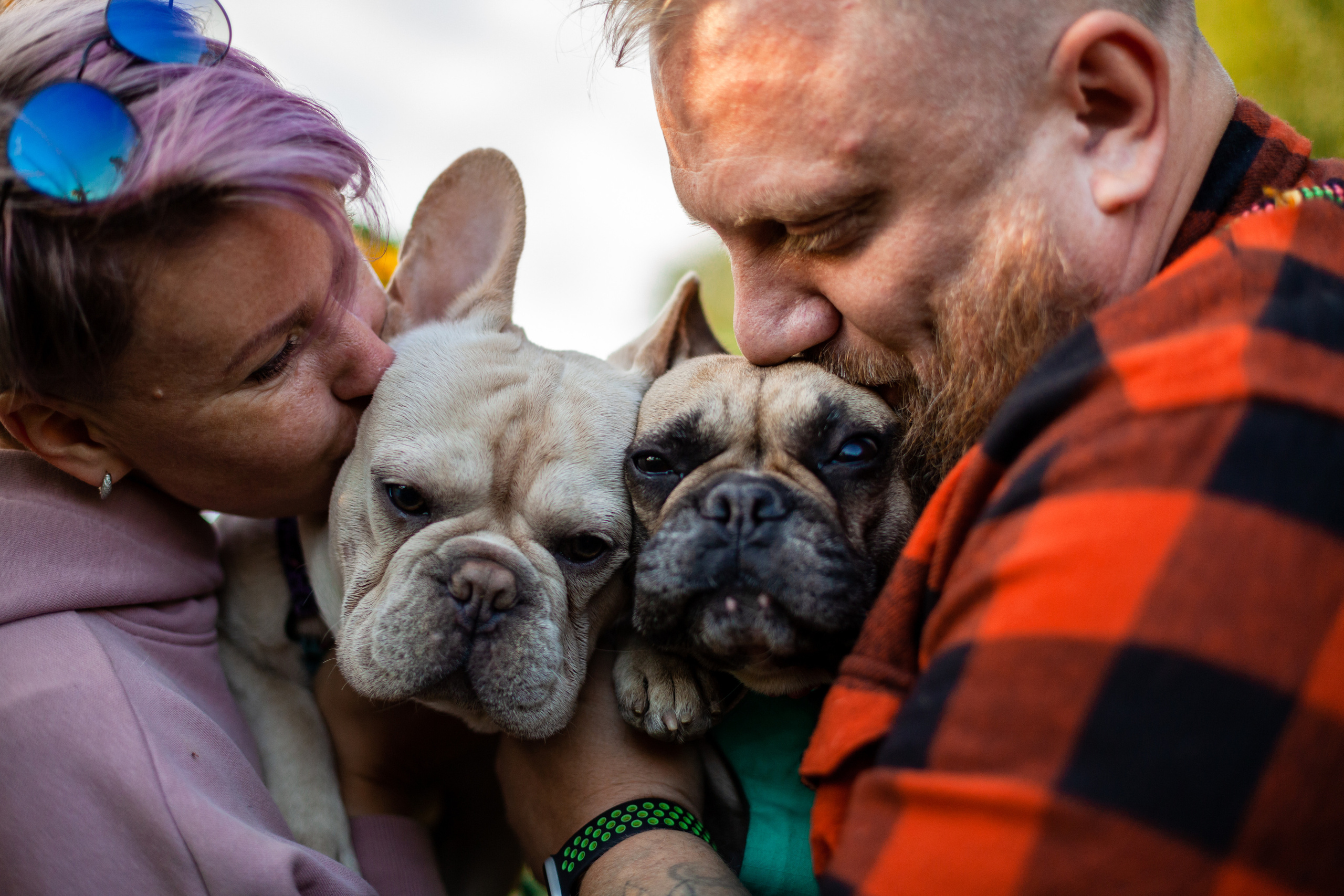Коломна, стога и подсолнухи. Фотограф-анималист Татьяна Степанова