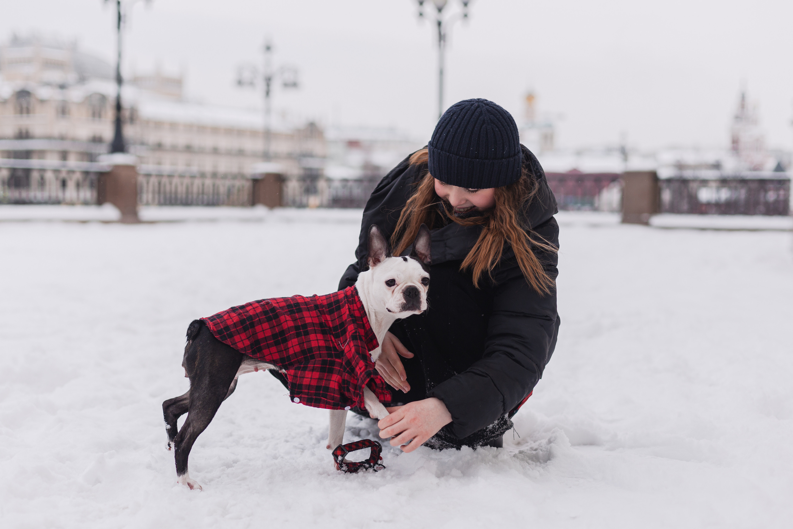 Василиса и Мира Кузнецкий мост. Фотограф-анималист Татьяна Степанова