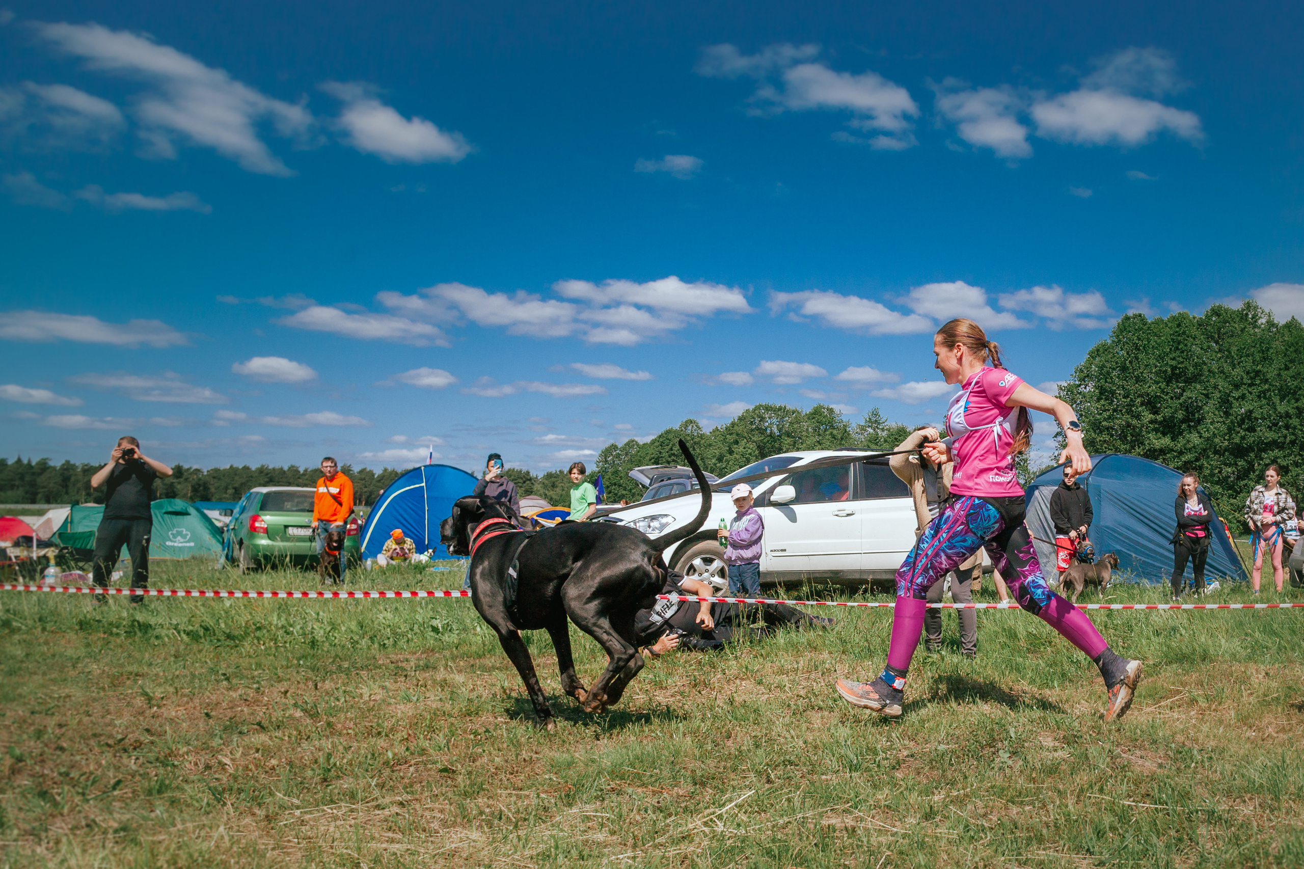 Хвостатый Драйв 11.06.2023. Фотограф-анималист Татьяна Степанова
