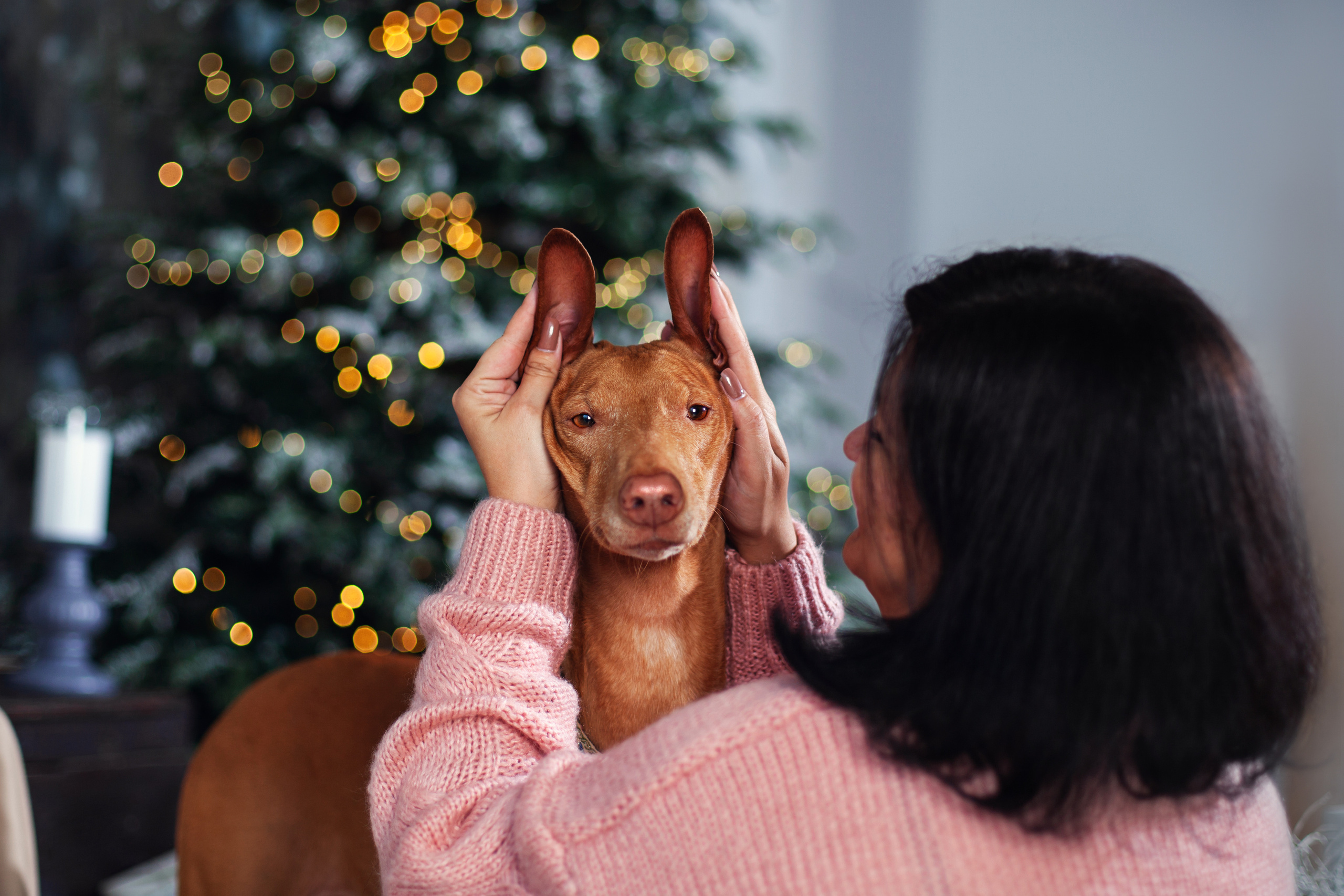 Юля и Мэри. Фотограф-анималист Татьяна Степанова
