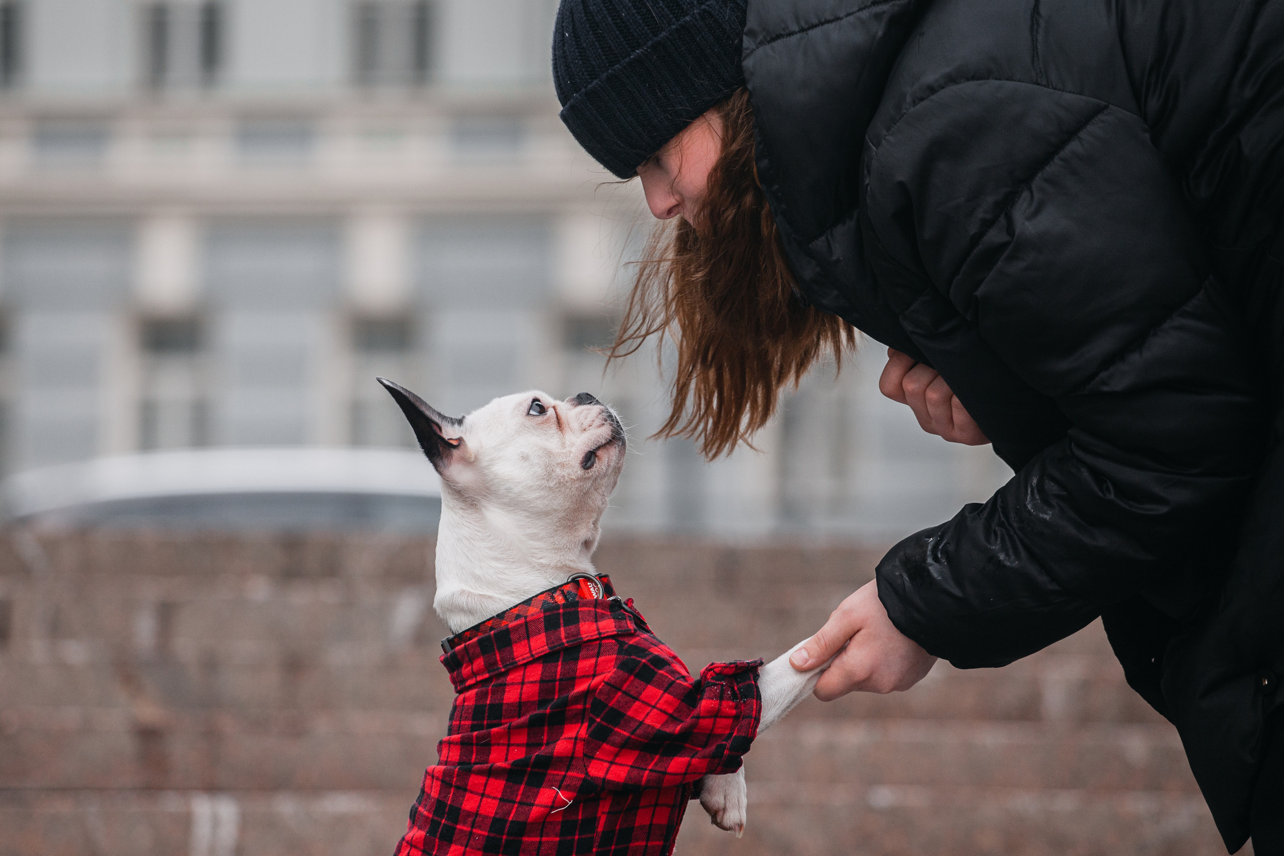 Василиса и Мира Кузнецкий мост. Фотограф-анималист Татьяна Степанова