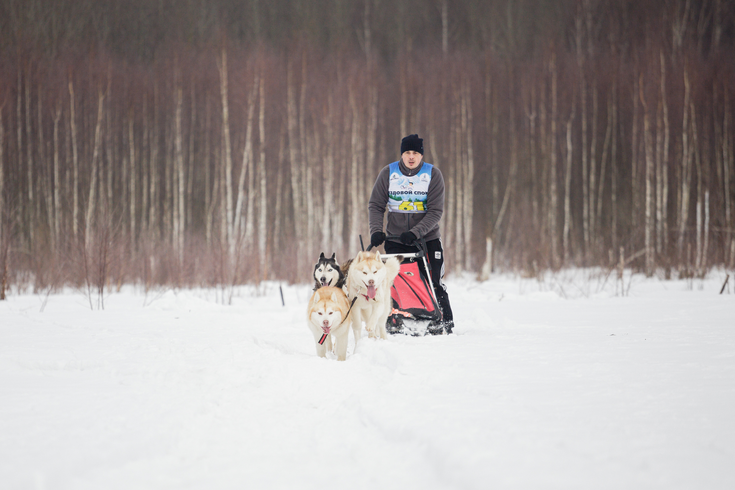 Холодные игры 28 февраля 2022. Фотограф-анималист Татьяна Степанова