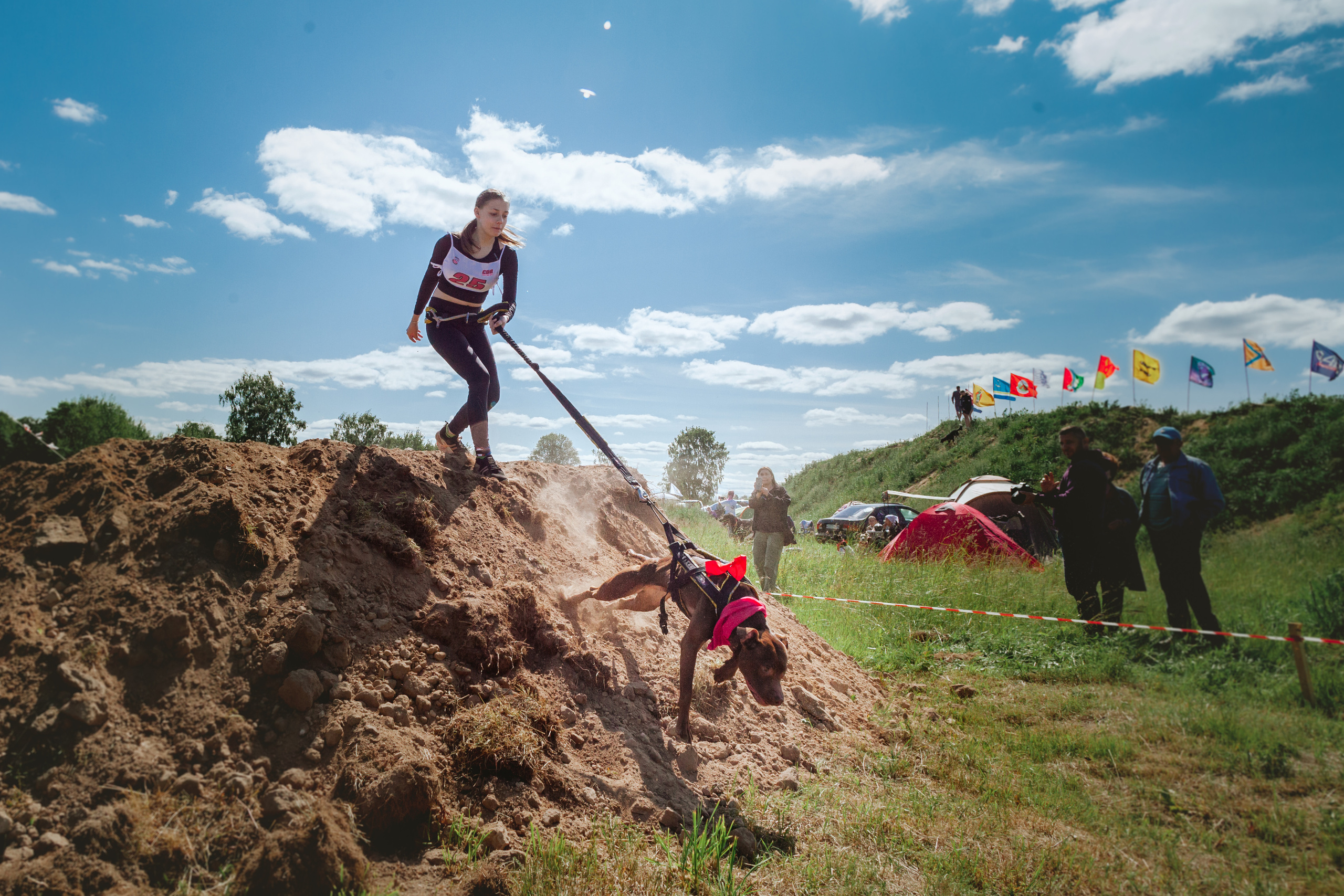 Хвостатый Драйв 11.06.2023. Фотограф-анималист Татьяна Степанова