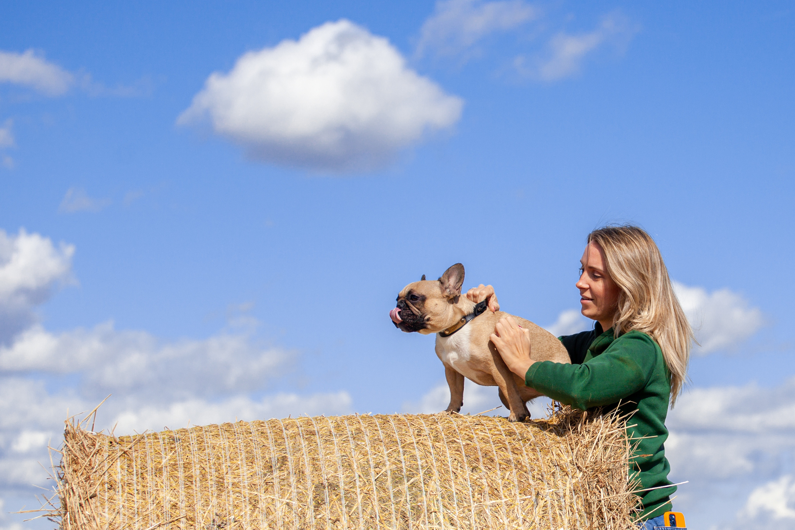Коломна, стога и подсолнухи. Фотограф-анималист Татьяна Степанова