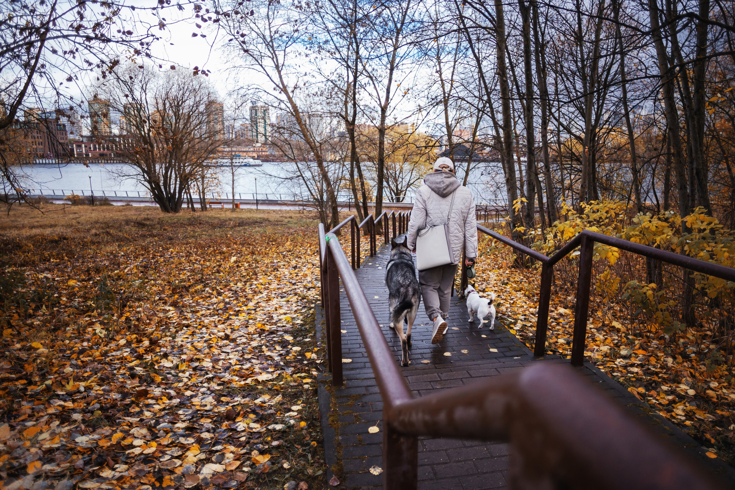 Женя, Скай и Арти в ПКИО Северное Тушино. Фотограф-анималист Татьяна Степанова