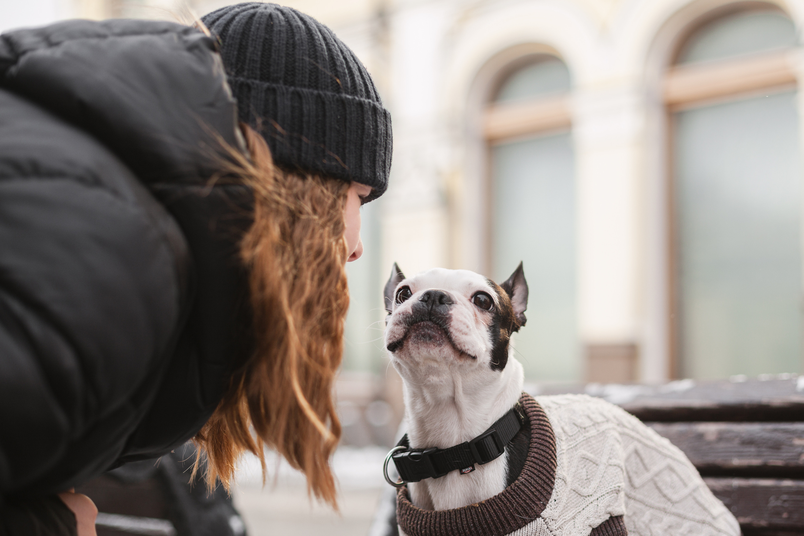 Василиса и Мира Кузнецкий мост. Фотограф-анималист Татьяна Степанова