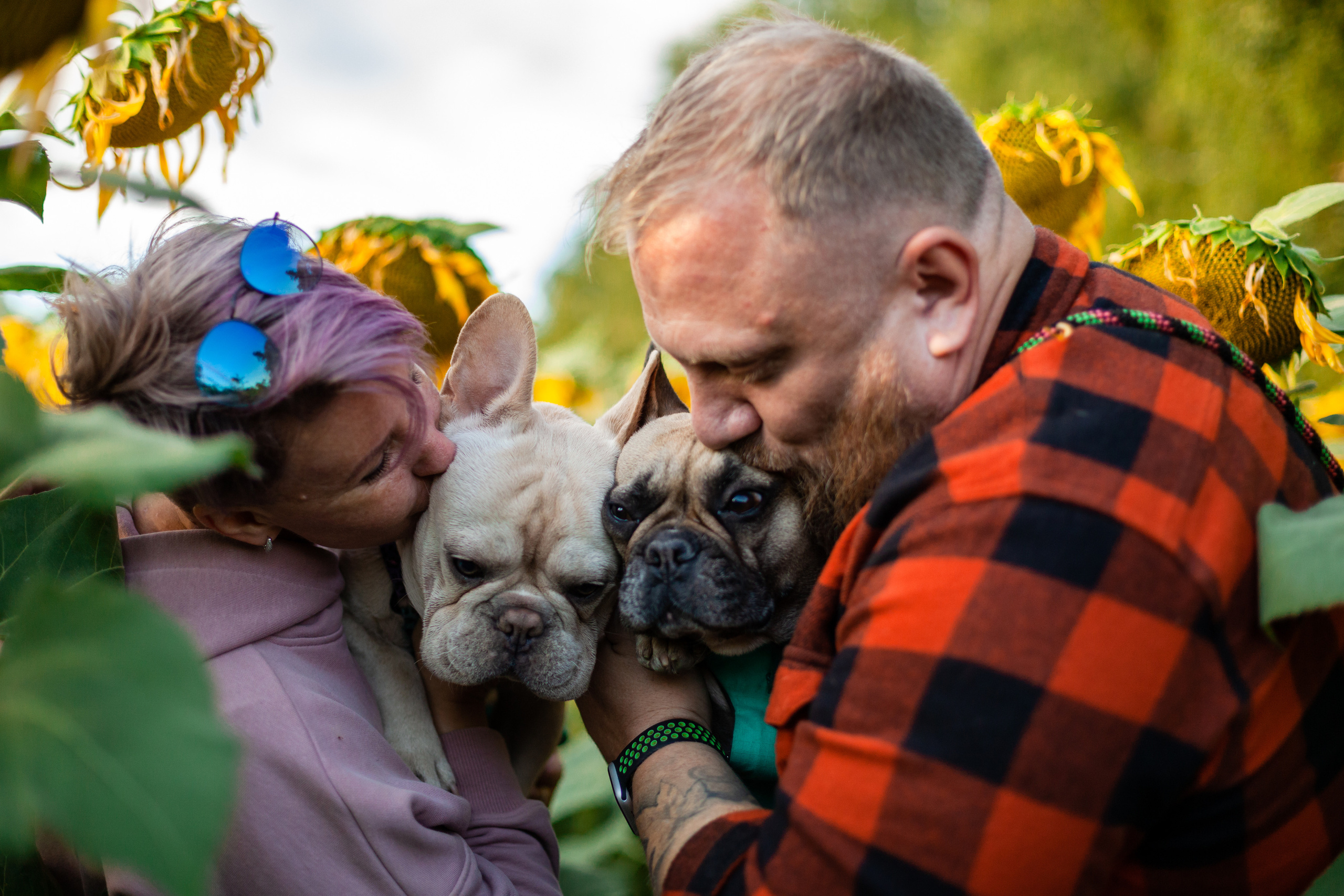 Коломна, стога и подсолнухи. Фотограф-анималист Татьяна Степанова