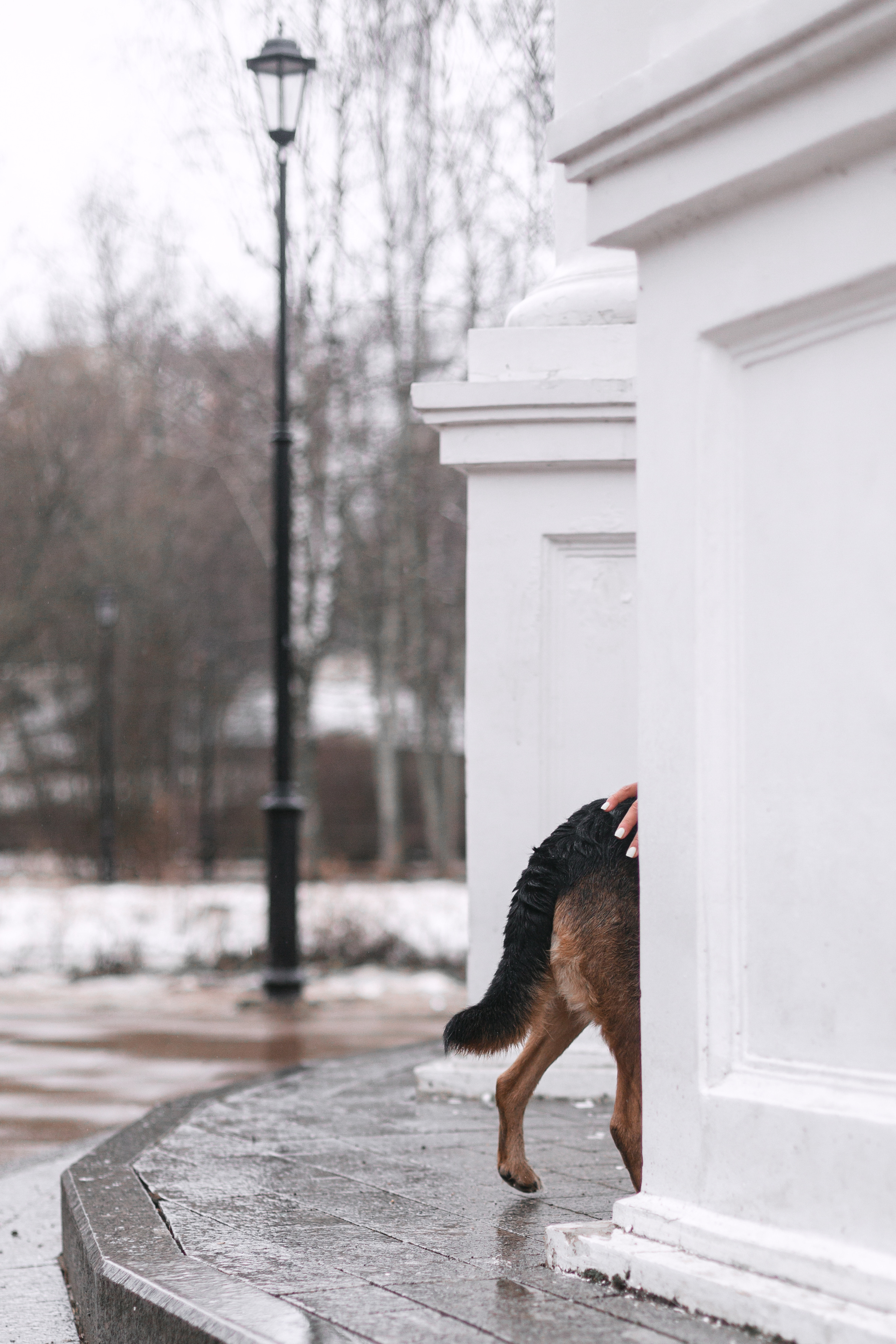 Лиза и Бренда. Фотограф-анималист Татьяна Степанова