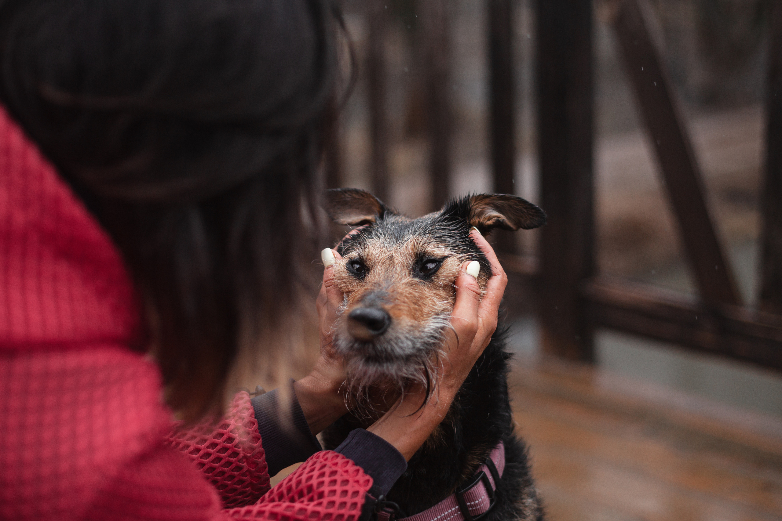 Лиза и Бренда. Фотограф-анималист Татьяна Степанова
