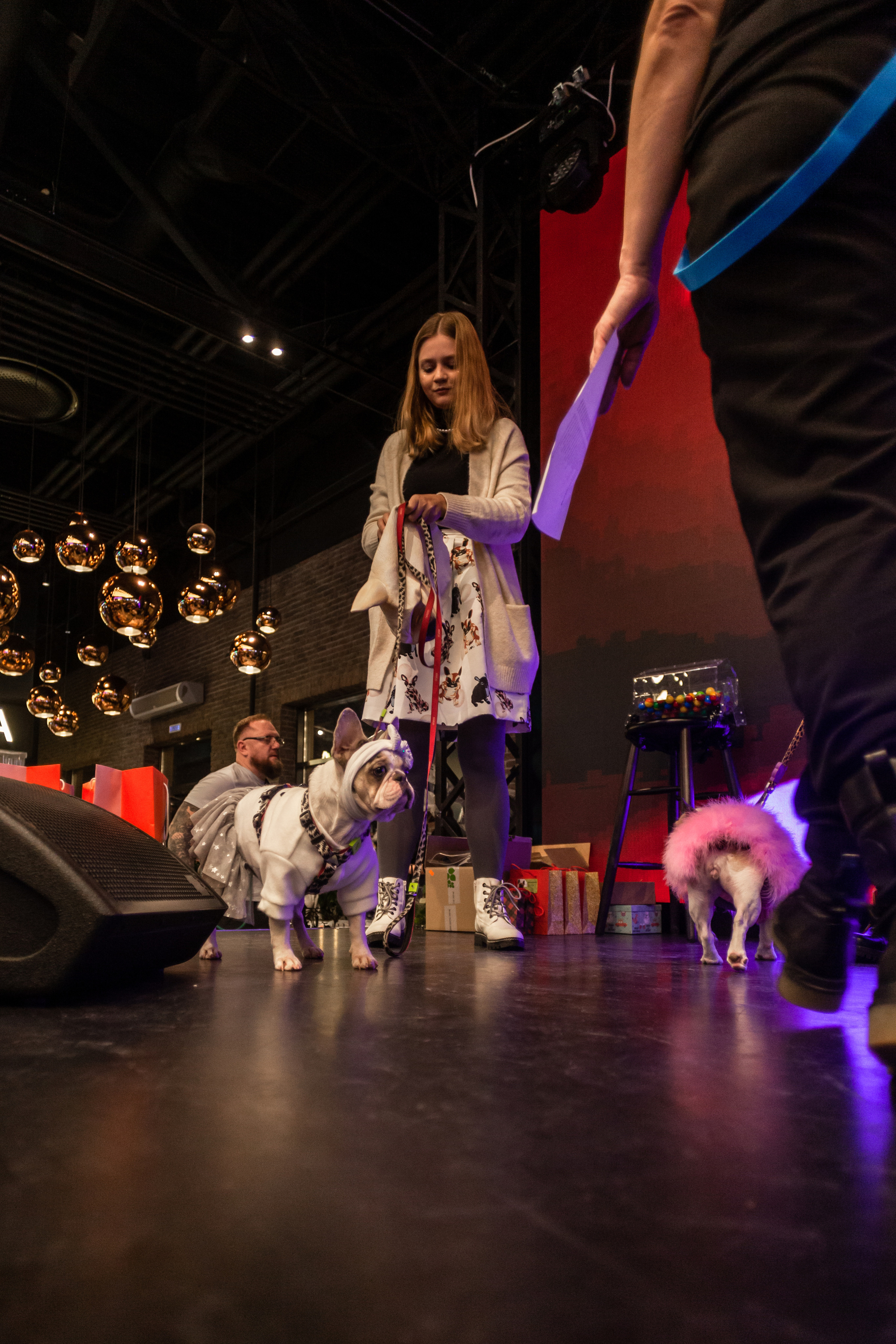 Бульелка 2022. Фотограф-анималист Татьяна Степанова