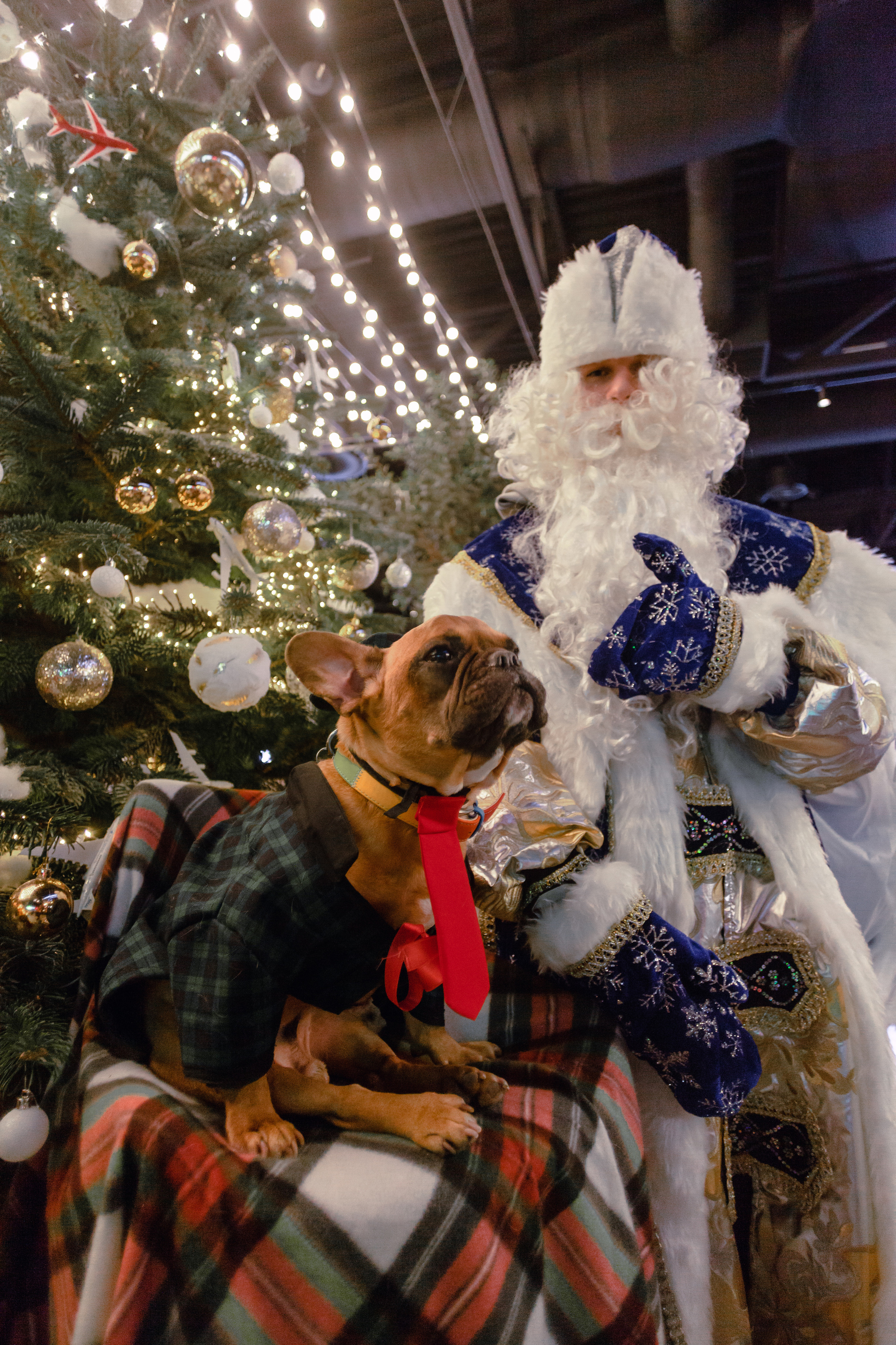 Бульелка 2022. Фотограф-анималист Татьяна Степанова