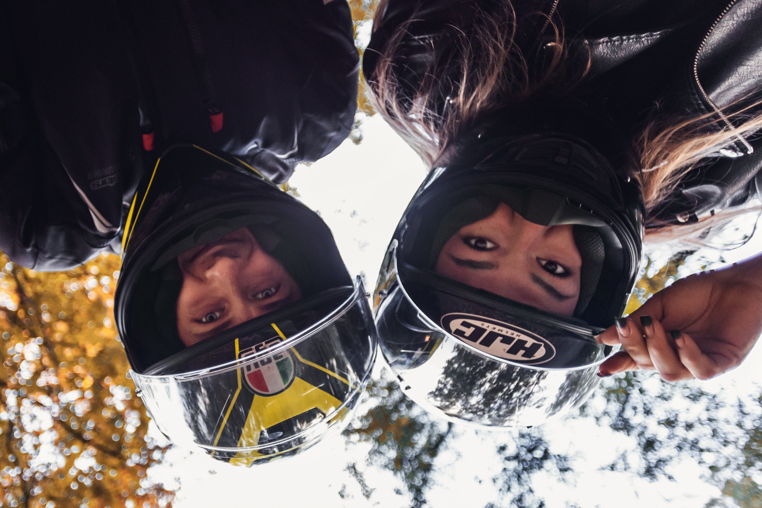 Кристина и Олег в Алешкинском лесопарке. Фотограф-анималист Татьяна Степанова