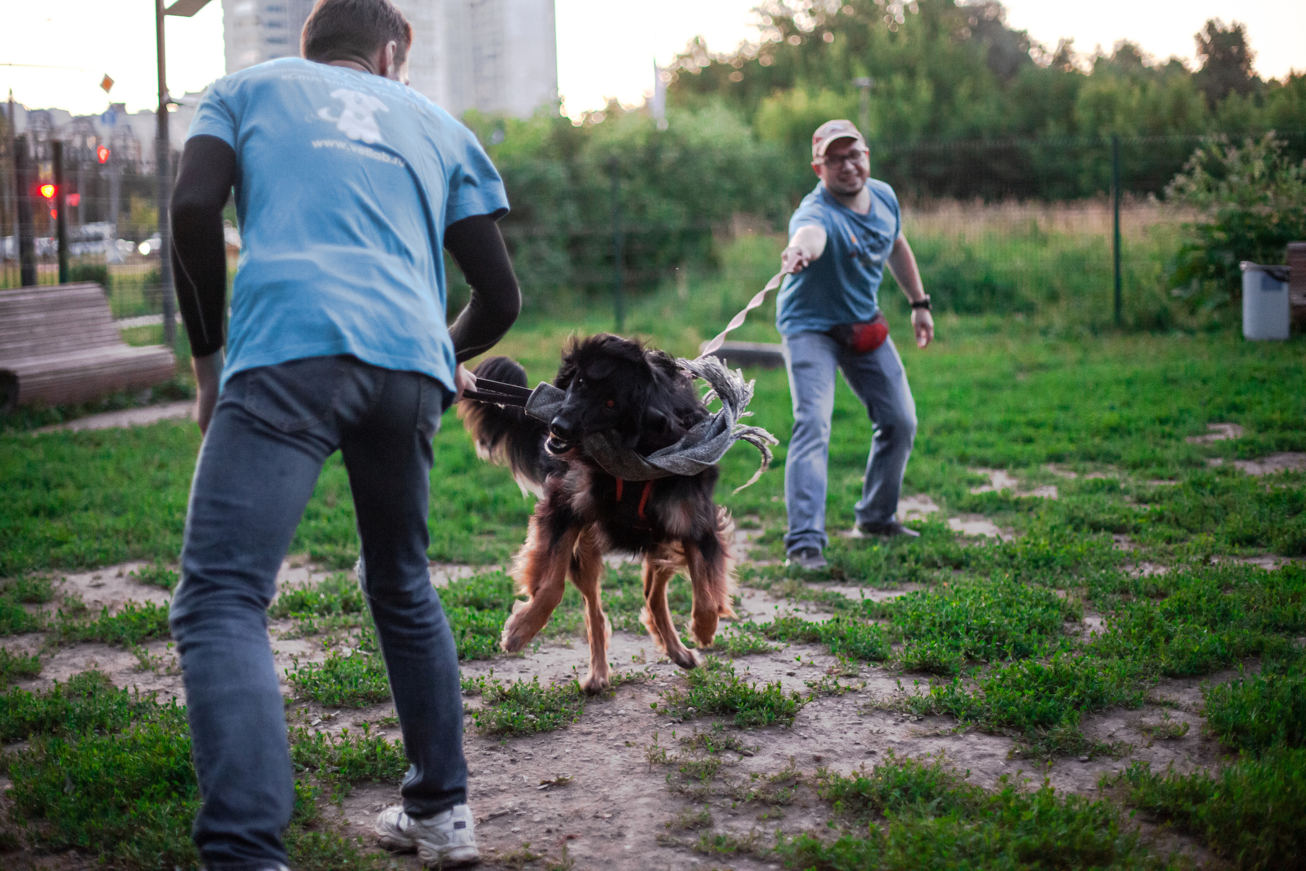 Занятие ЗКС+Выборка 2022. Фотограф-анималист Татьяна Степанова