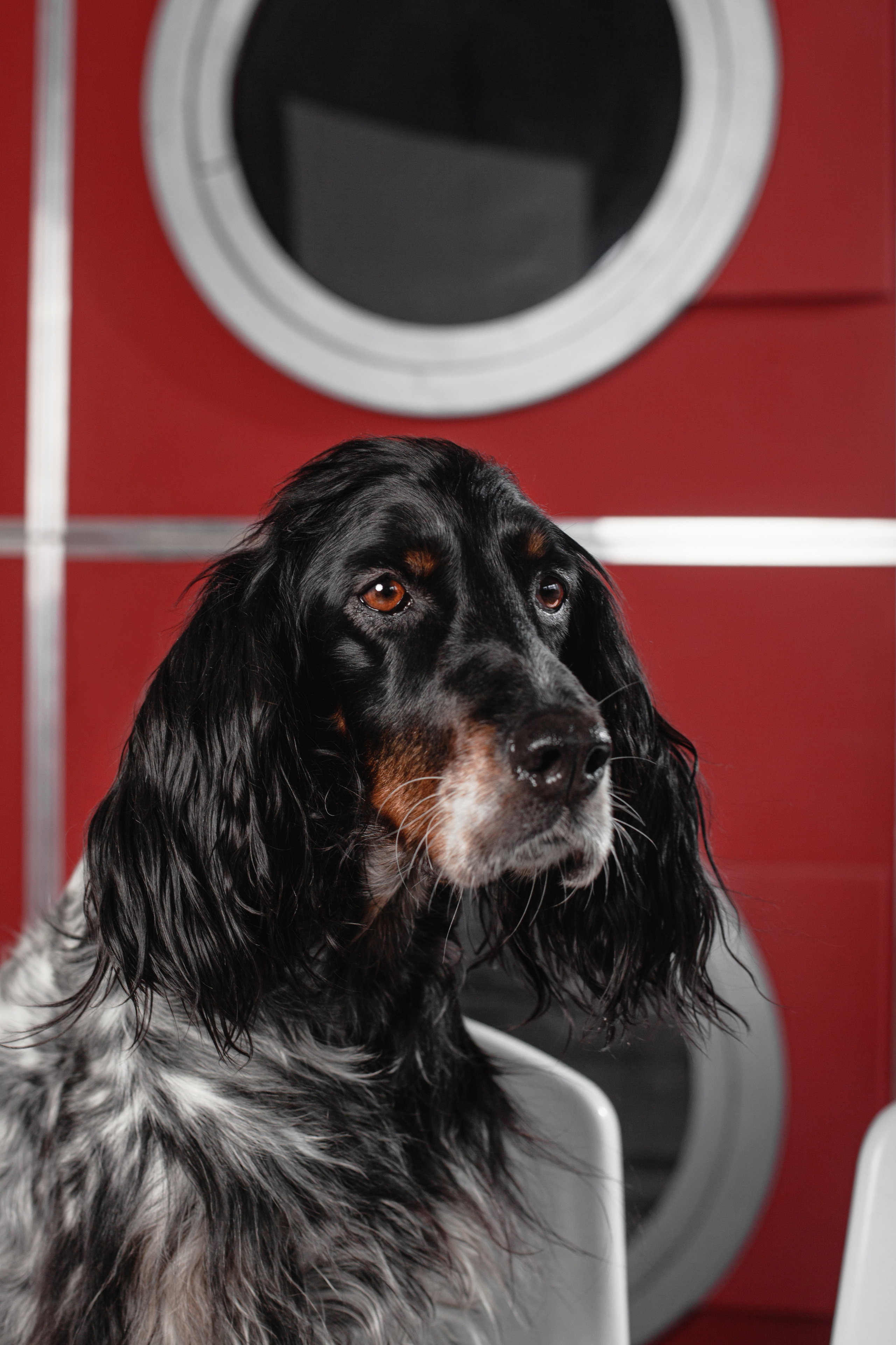 Света и Богдана. Фотограф-анималист Татьяна Степанова