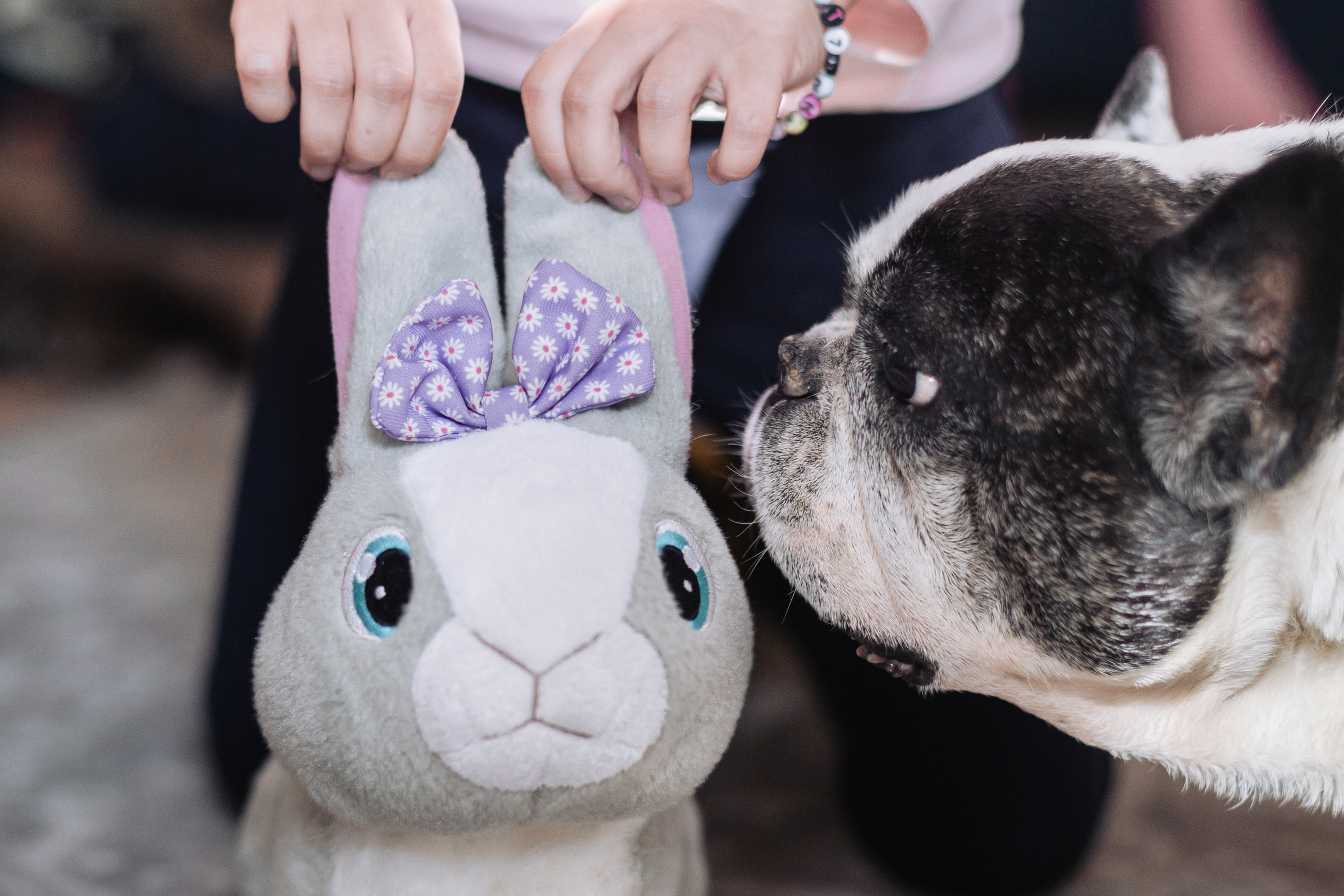 Семейная домашняя фотосессия. Фотограф-анималист Татьяна Степанова