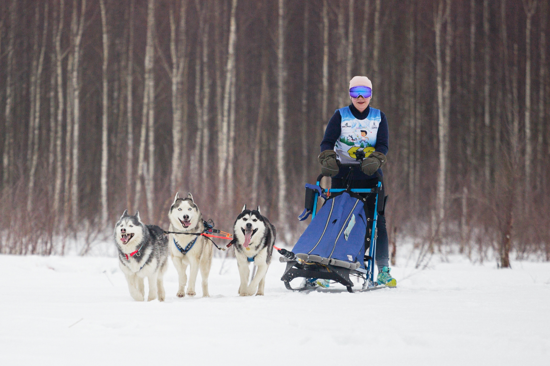 Холодные игры 28 февраля 2022. Фотограф-анималист Татьяна Степанова