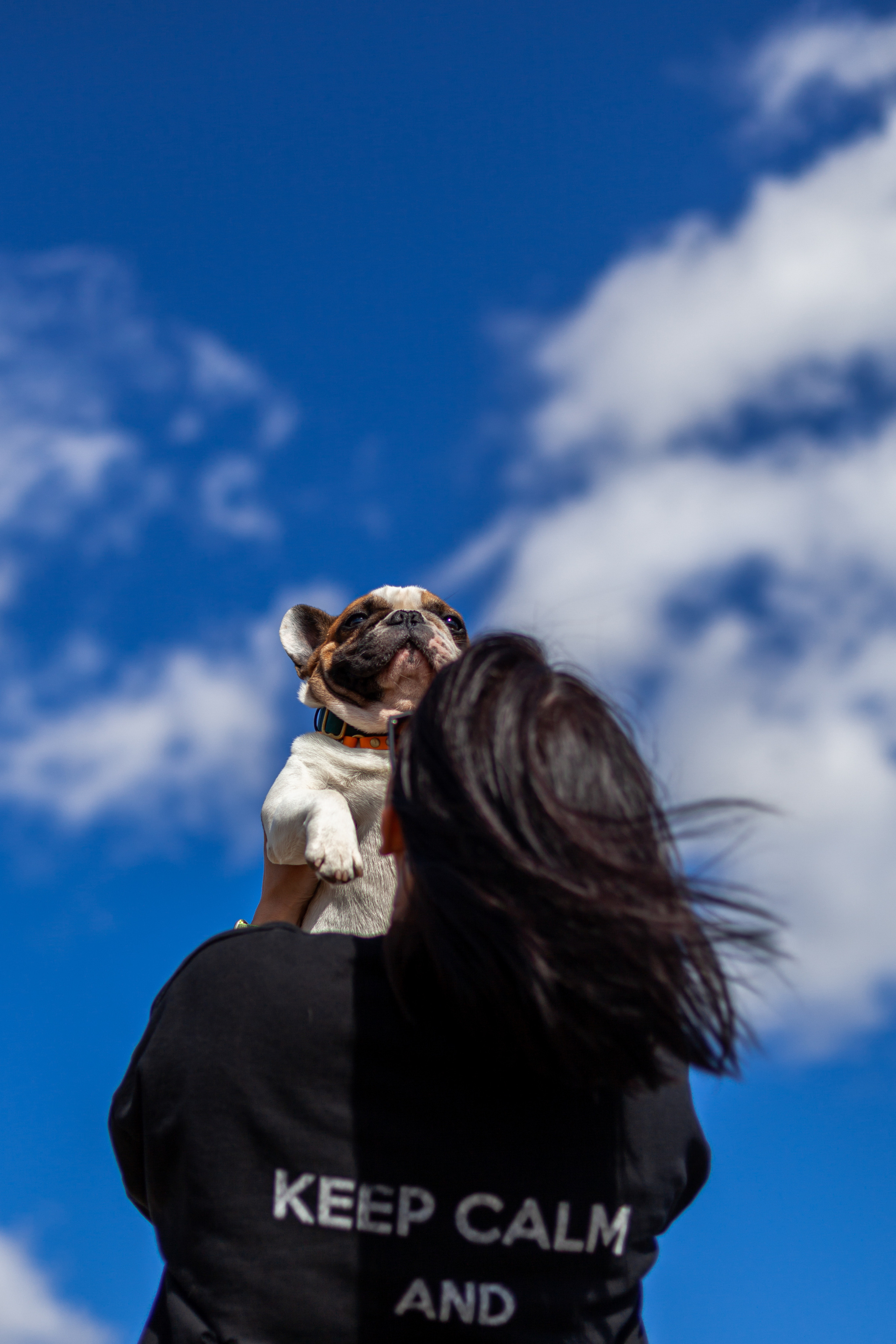 Коломна, стога и подсолнухи. Фотограф-анималист Татьяна Степанова