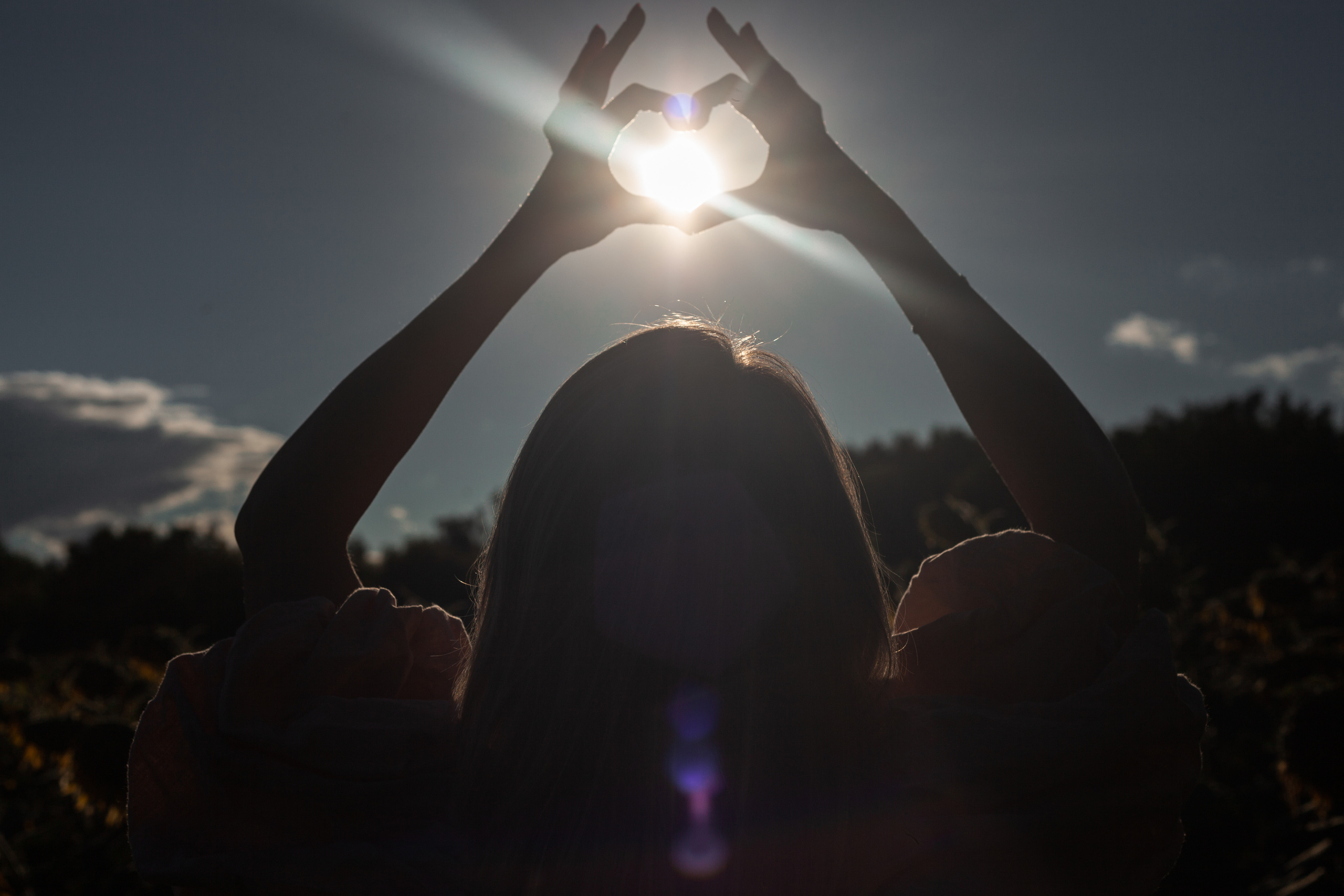 Коломна, стога и подсолнухи. Фотограф-анималист Татьяна Степанова