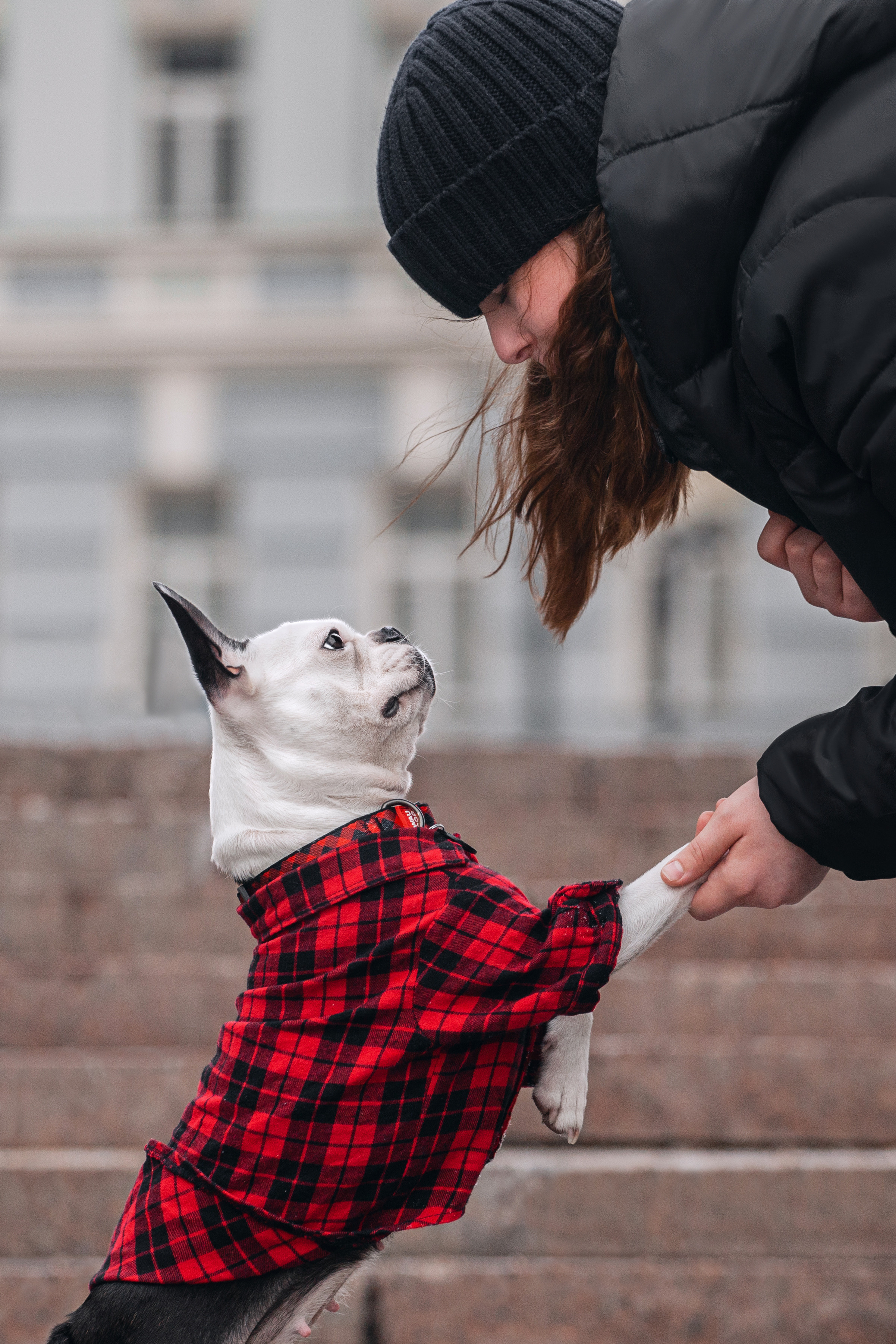 Василиса и Мира Кузнецкий мост. Фотограф-анималист Татьяна Степанова