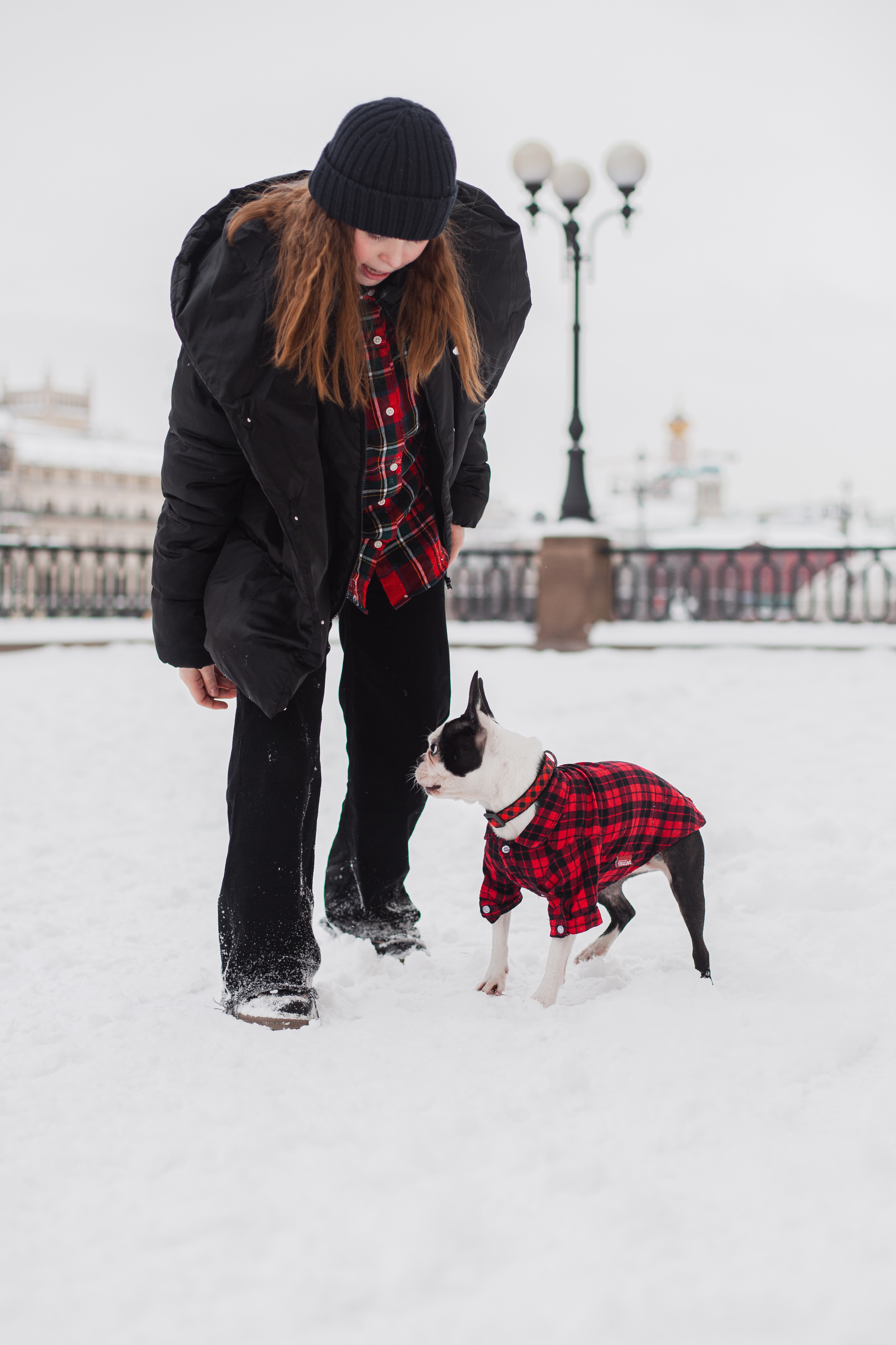 Василиса и Мира Кузнецкий мост. Фотограф-анималист Татьяна Степанова