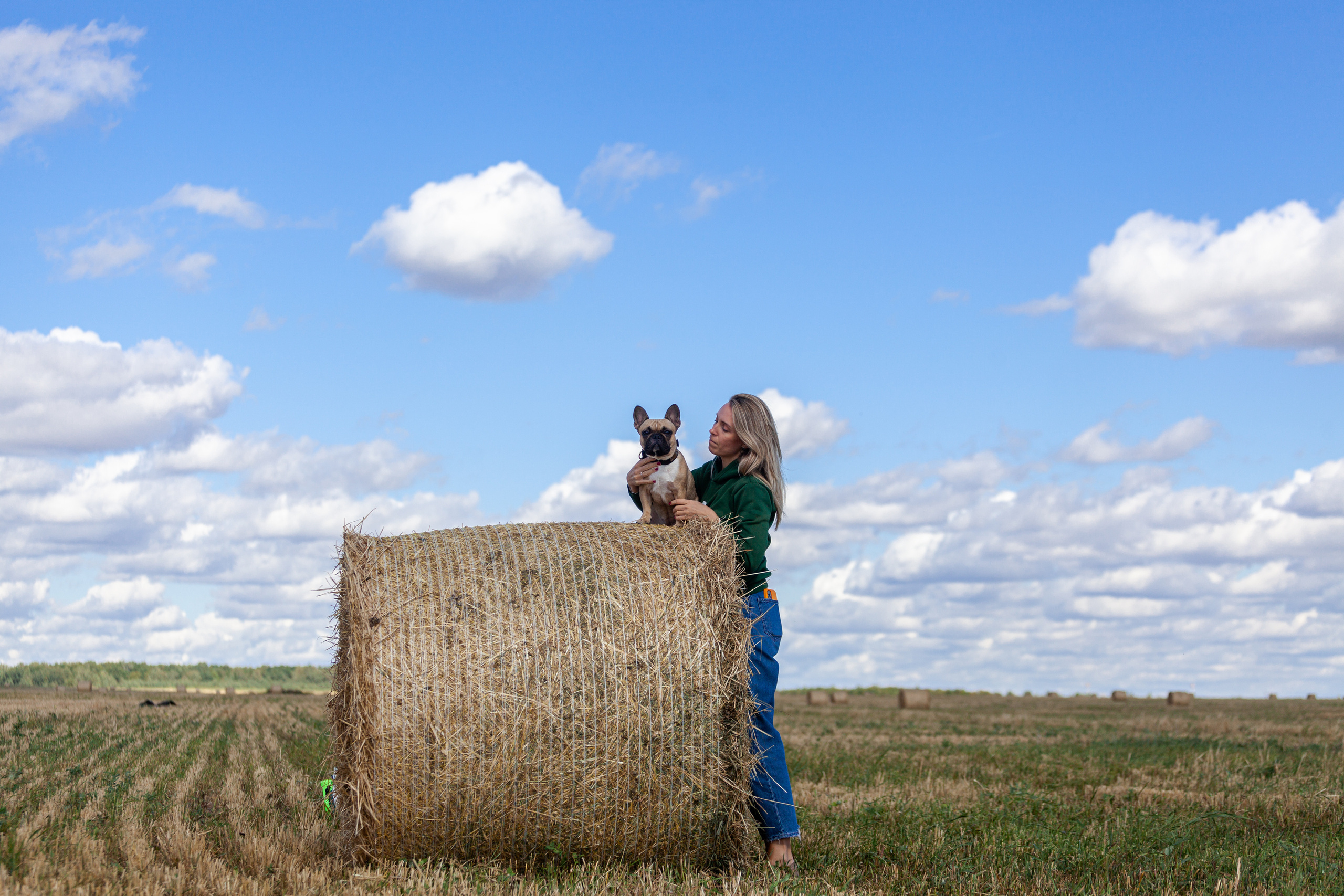 Коломна, стога и подсолнухи. Фотограф-анималист Татьяна Степанова