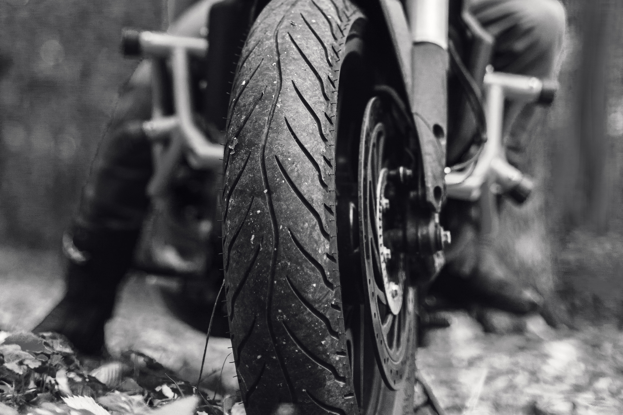 Кристина и Олег в Алешкинском лесопарке. Фотограф-анималист Татьяна Степанова