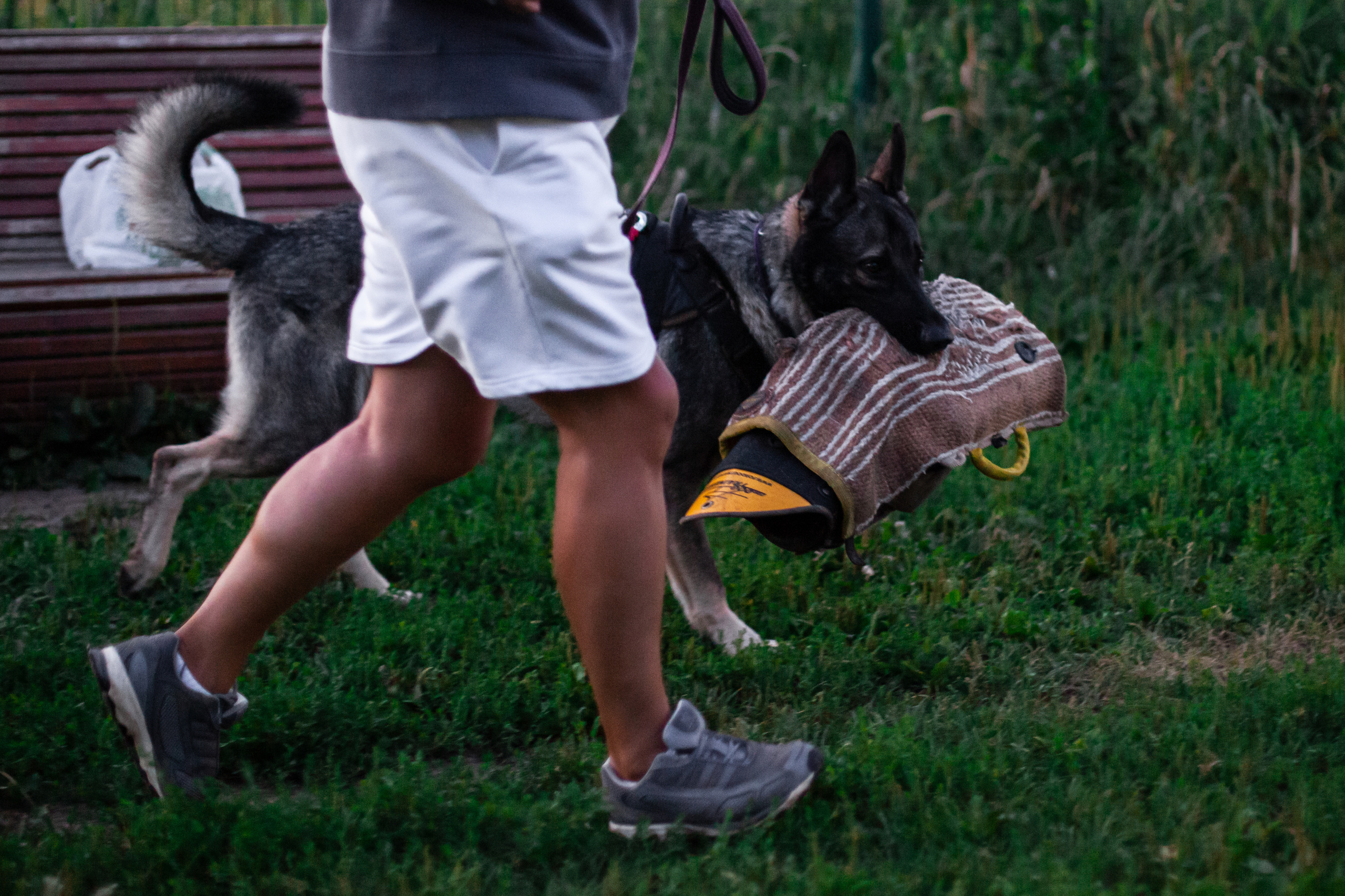 Занятие ЗКС+Выборка 2022. Фотограф-анималист Татьяна Степанова