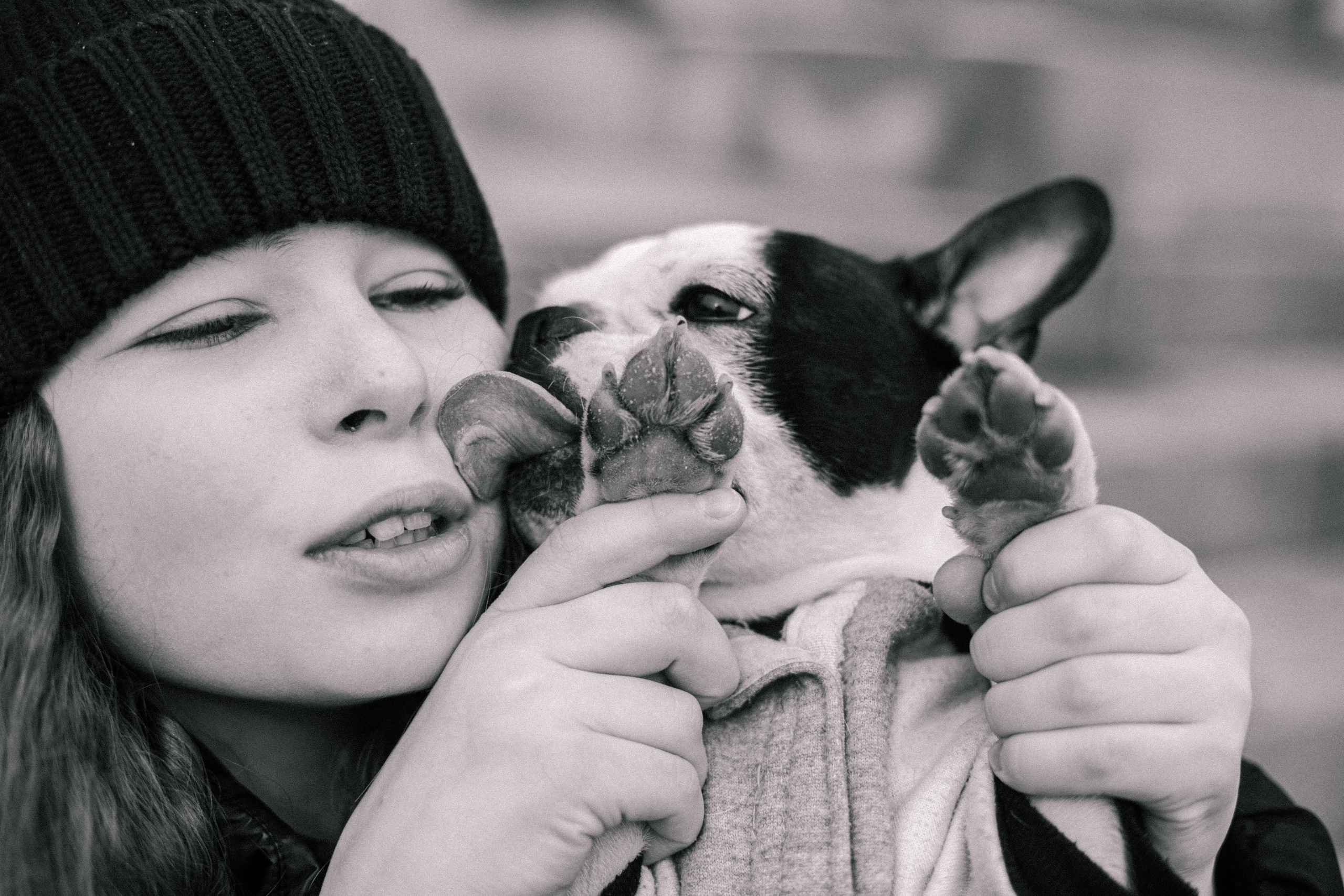 Василиса и Мира Кузнецкий мост. Фотограф-анималист Татьяна Степанова