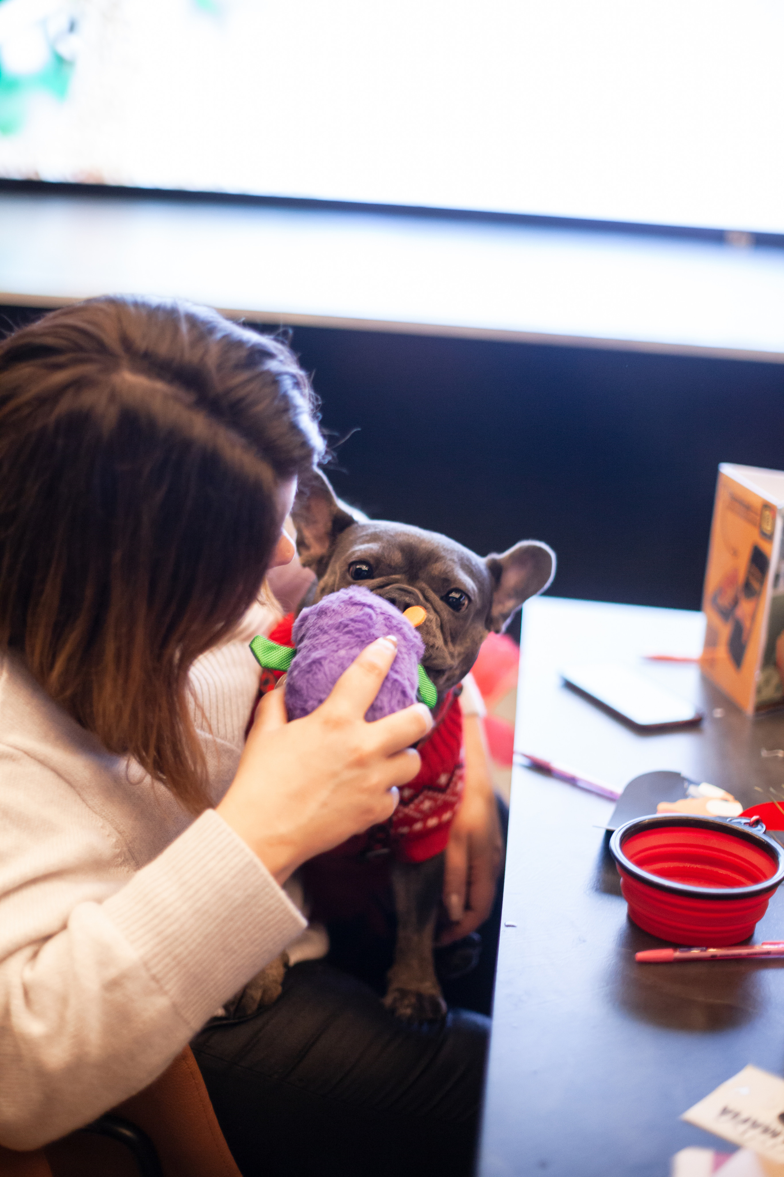 Бульелка 2022. Фотограф-анималист Татьяна Степанова