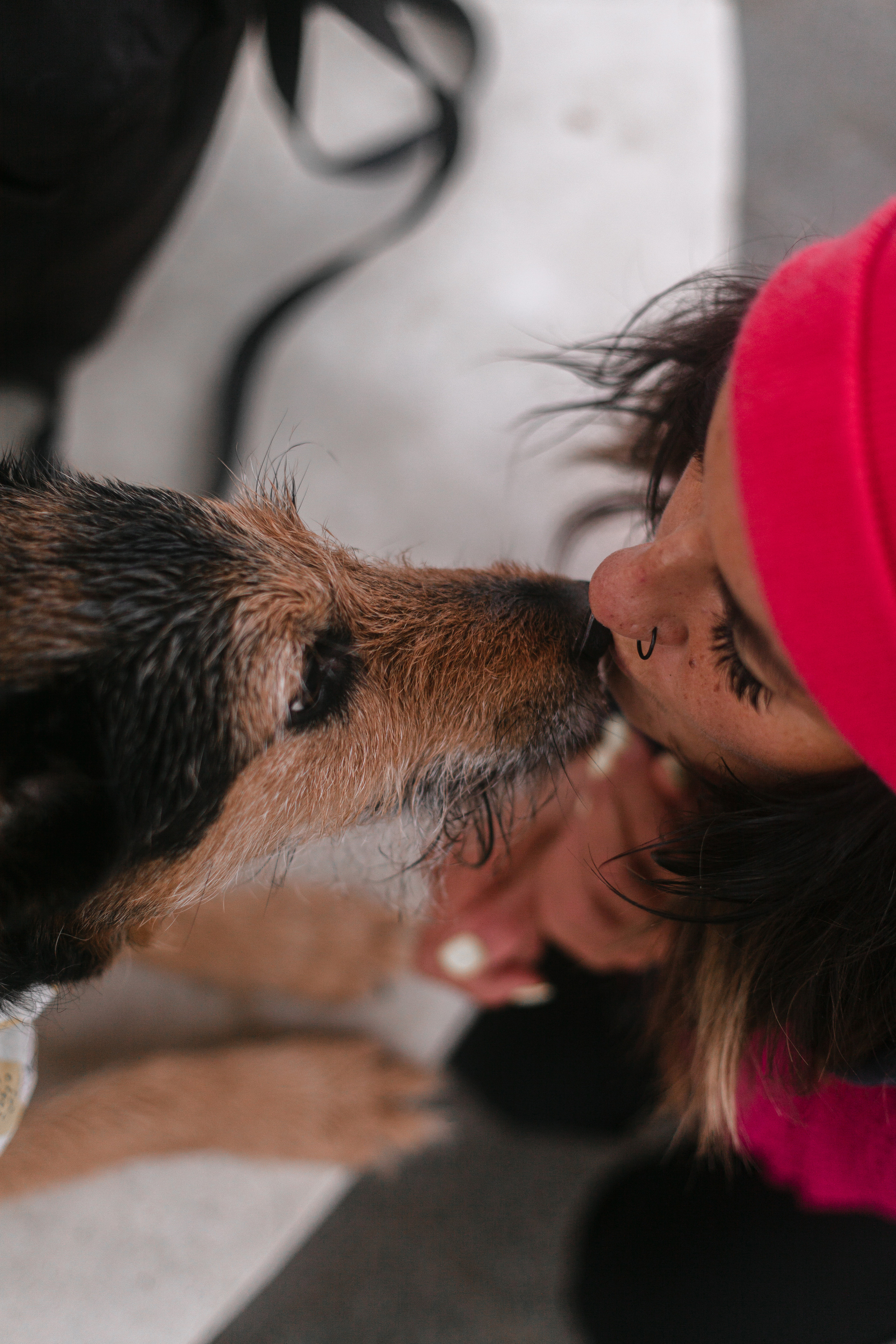Лиза и Бренда. Фотограф-анималист Татьяна Степанова