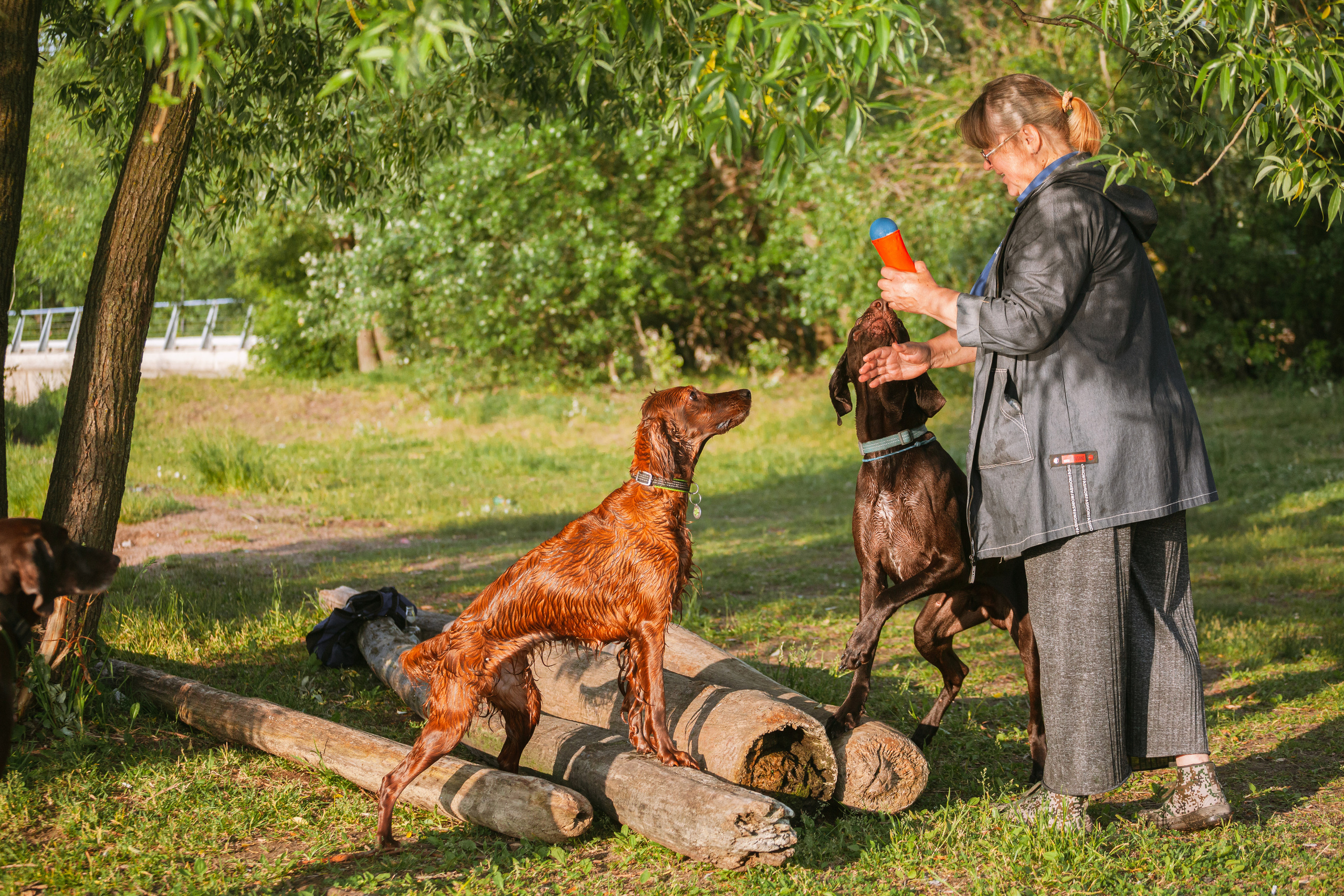 Рассветная съемка в ПКИО Северное Тушино. Фотограф-анималист Татьяна Степанова