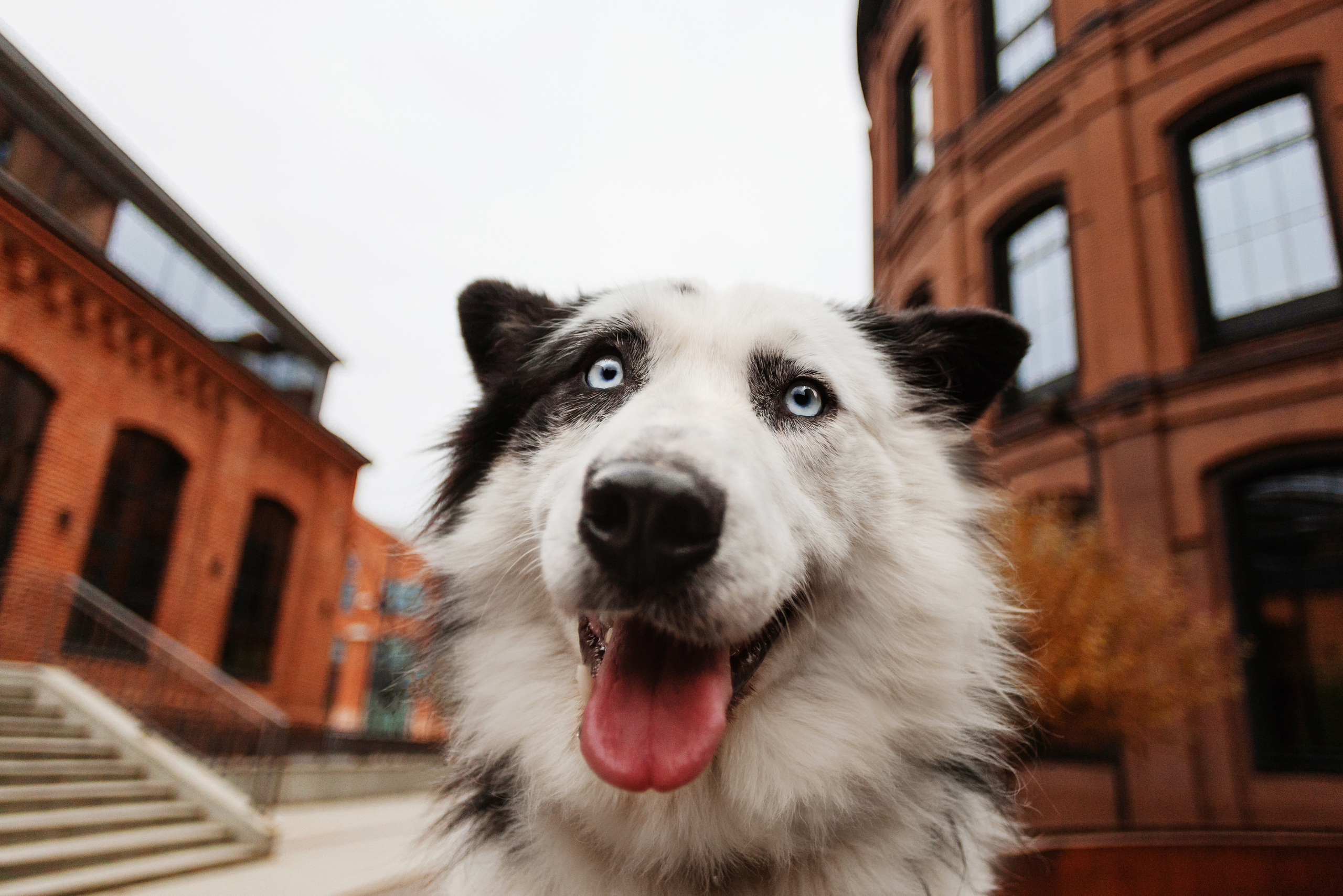 Чех 2022. Фотограф-анималист Татьяна Степанова