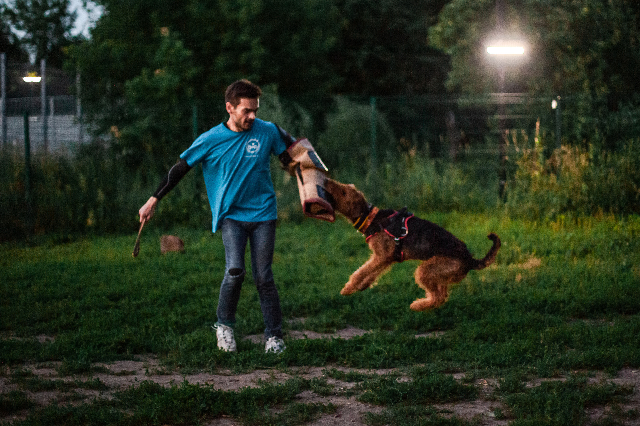 Занятие ЗКС+Выборка 2022. Фотограф-анималист Татьяна Степанова