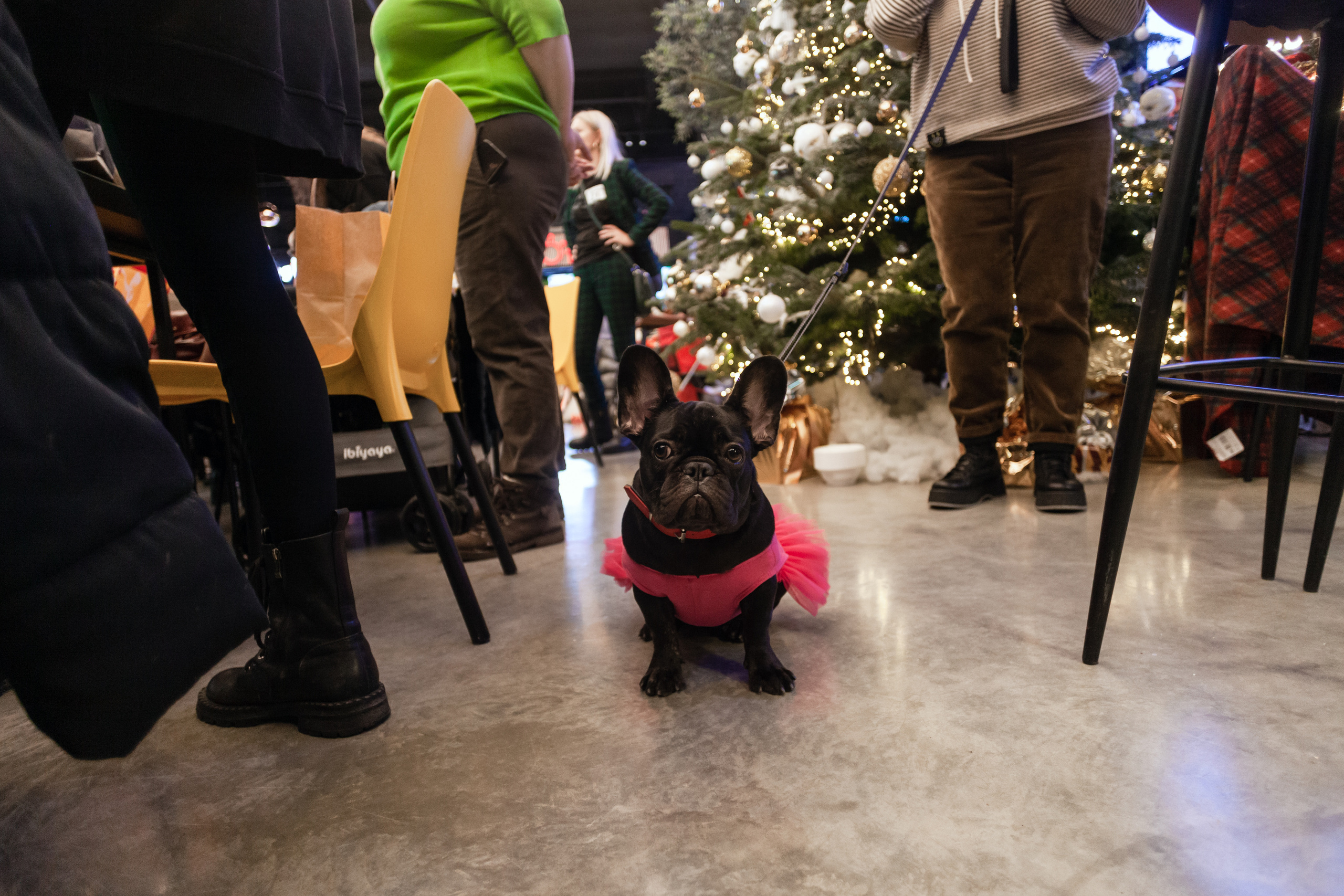 Бульелка 2022. Фотограф-анималист Татьяна Степанова