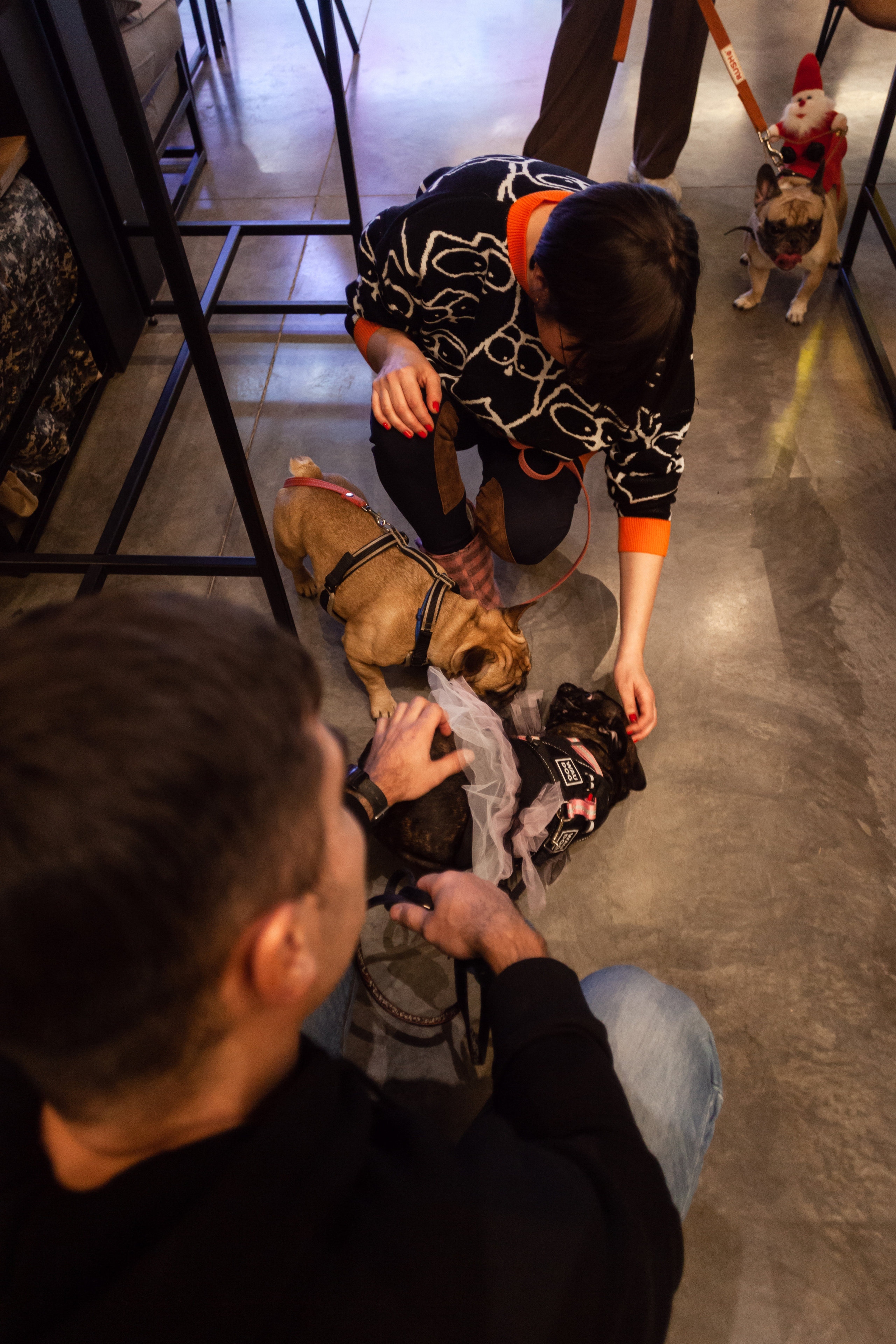 Бульелка 2022. Фотограф-анималист Татьяна Степанова