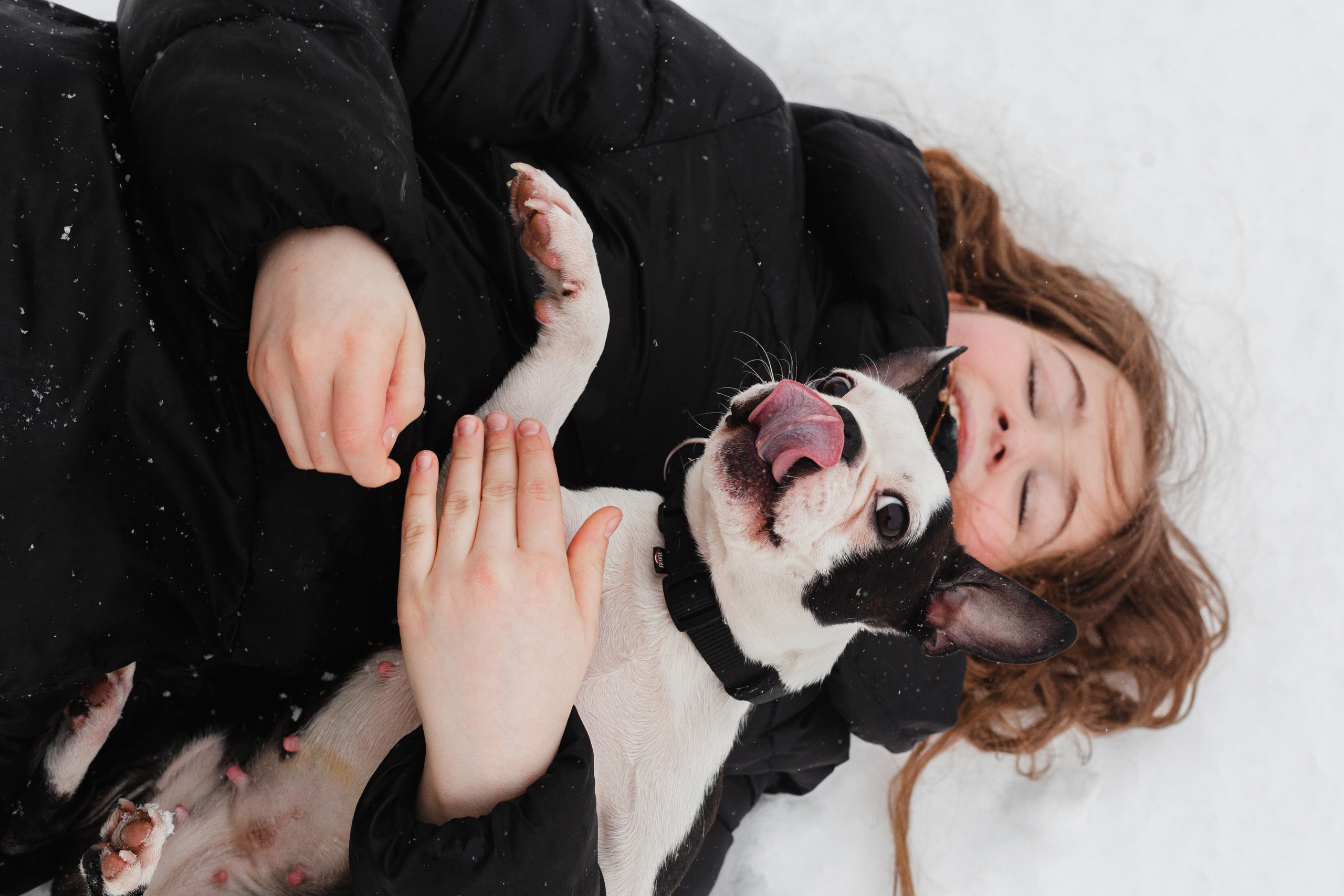 Василиса и Мира Кузнецкий мост. Фотограф-анималист Татьяна Степанова