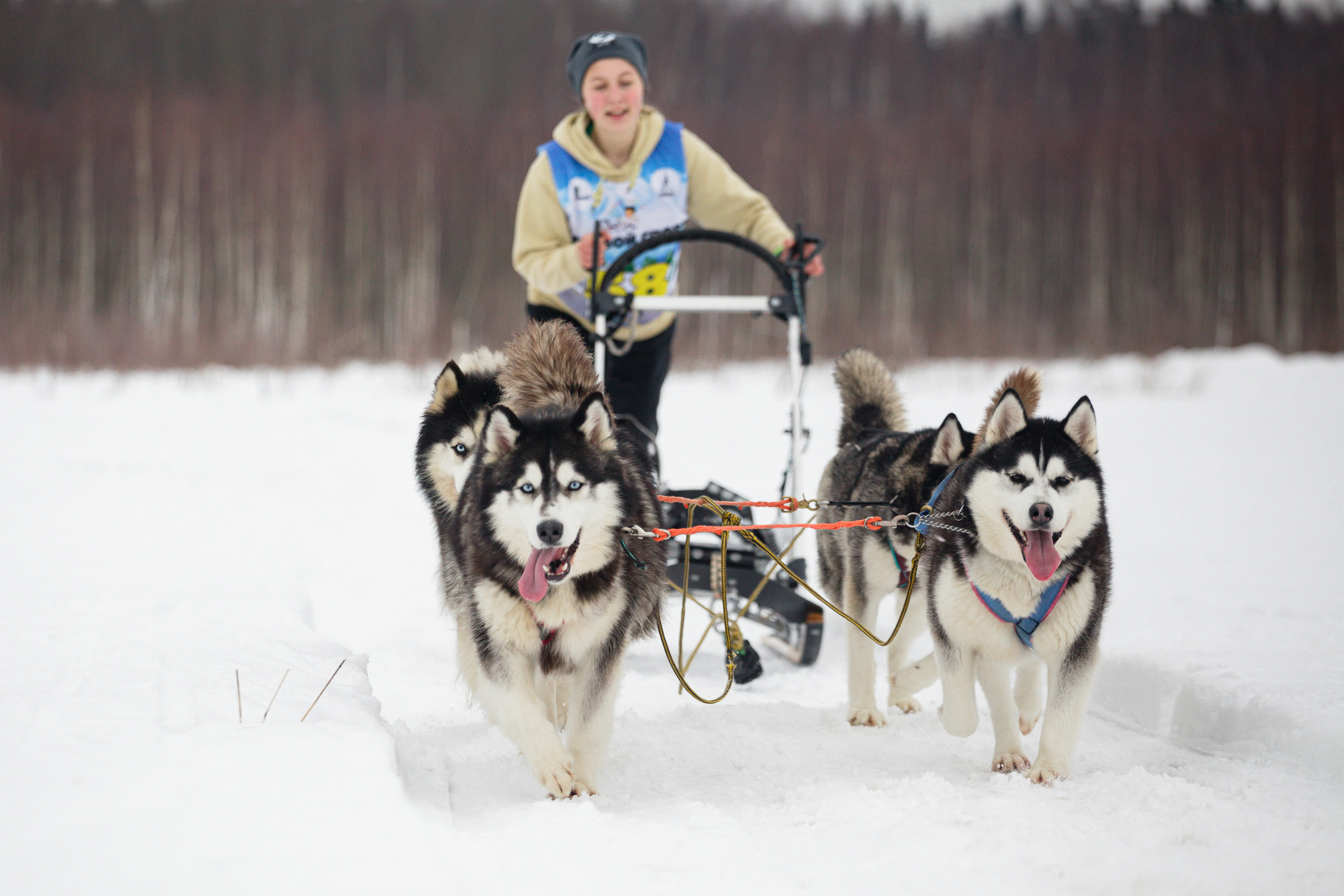 Холодные игры 28 февраля 2022. Фотограф-анималист Татьяна Степанова